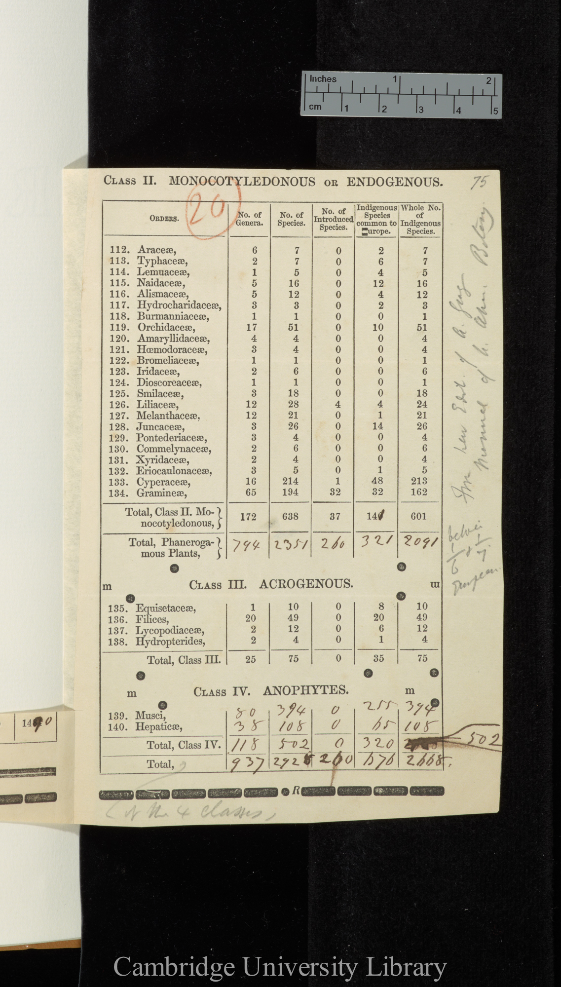 Part of a table from &#39;Manual of botany of the northern United States&#39; &#39;New York&#39;: xxvii (last line)-xxviii