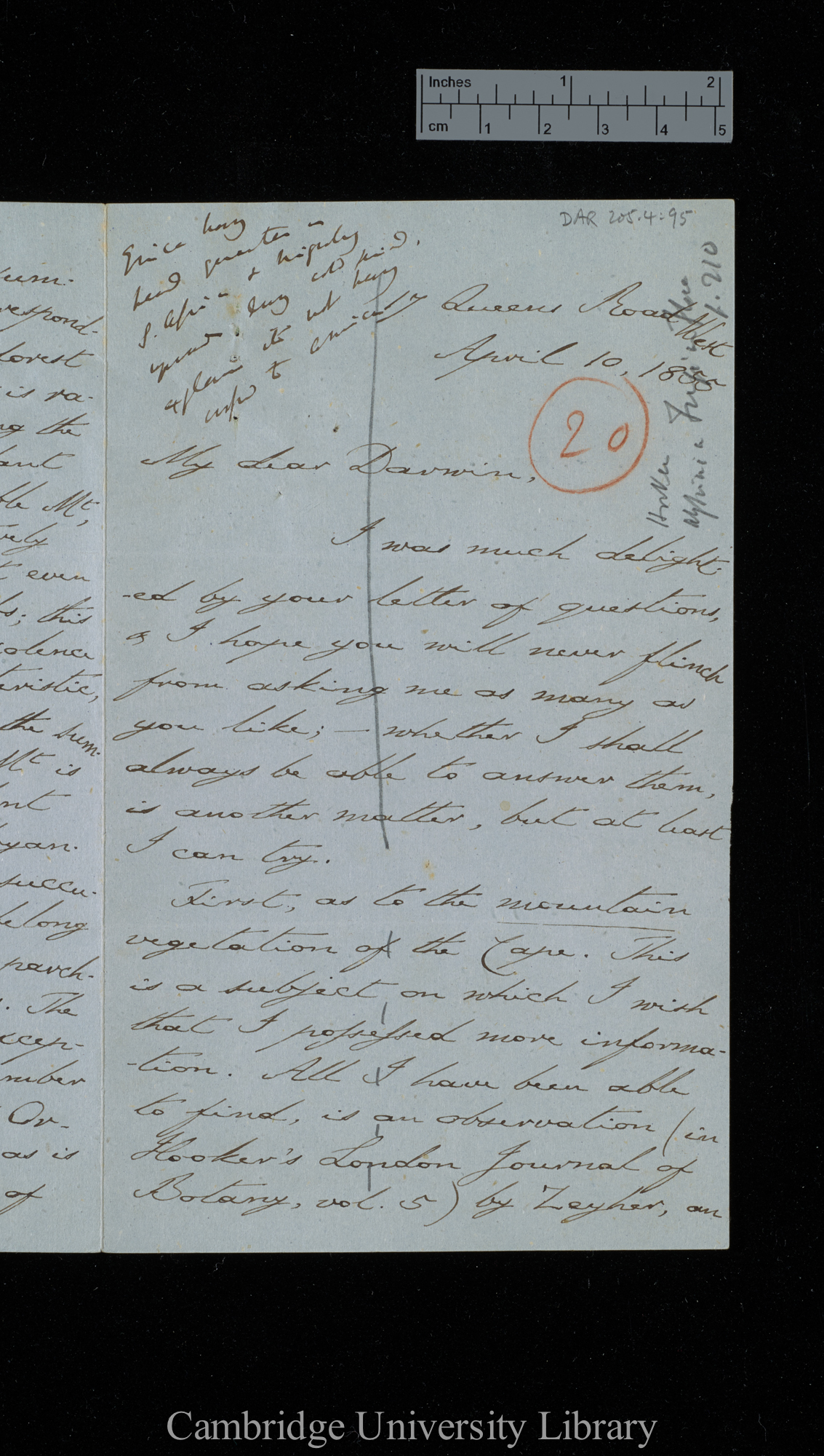 [Sir Charles J Fox Bunbury] to Charles Robert Darwin