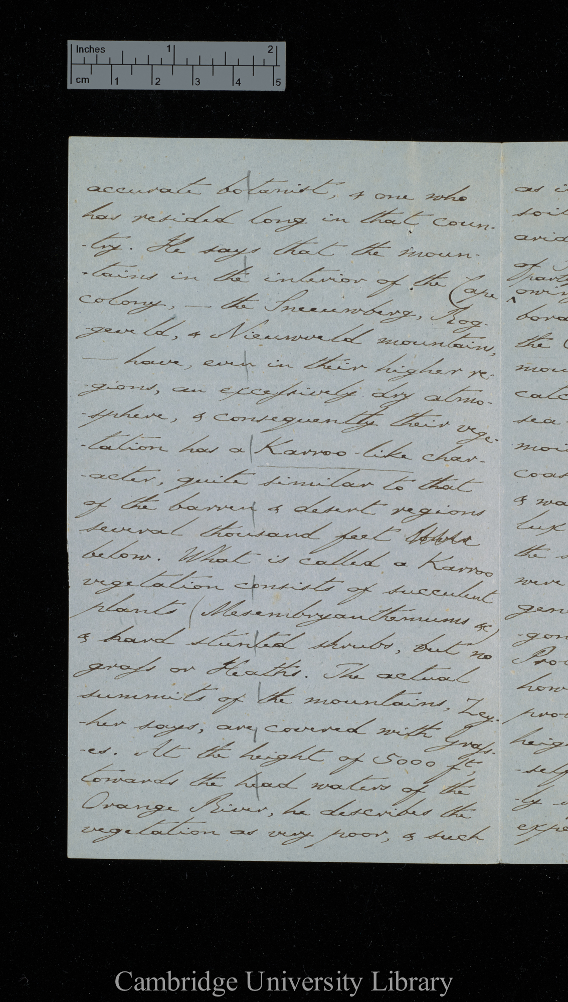 [Sir Charles J Fox Bunbury] to Charles Robert Darwin