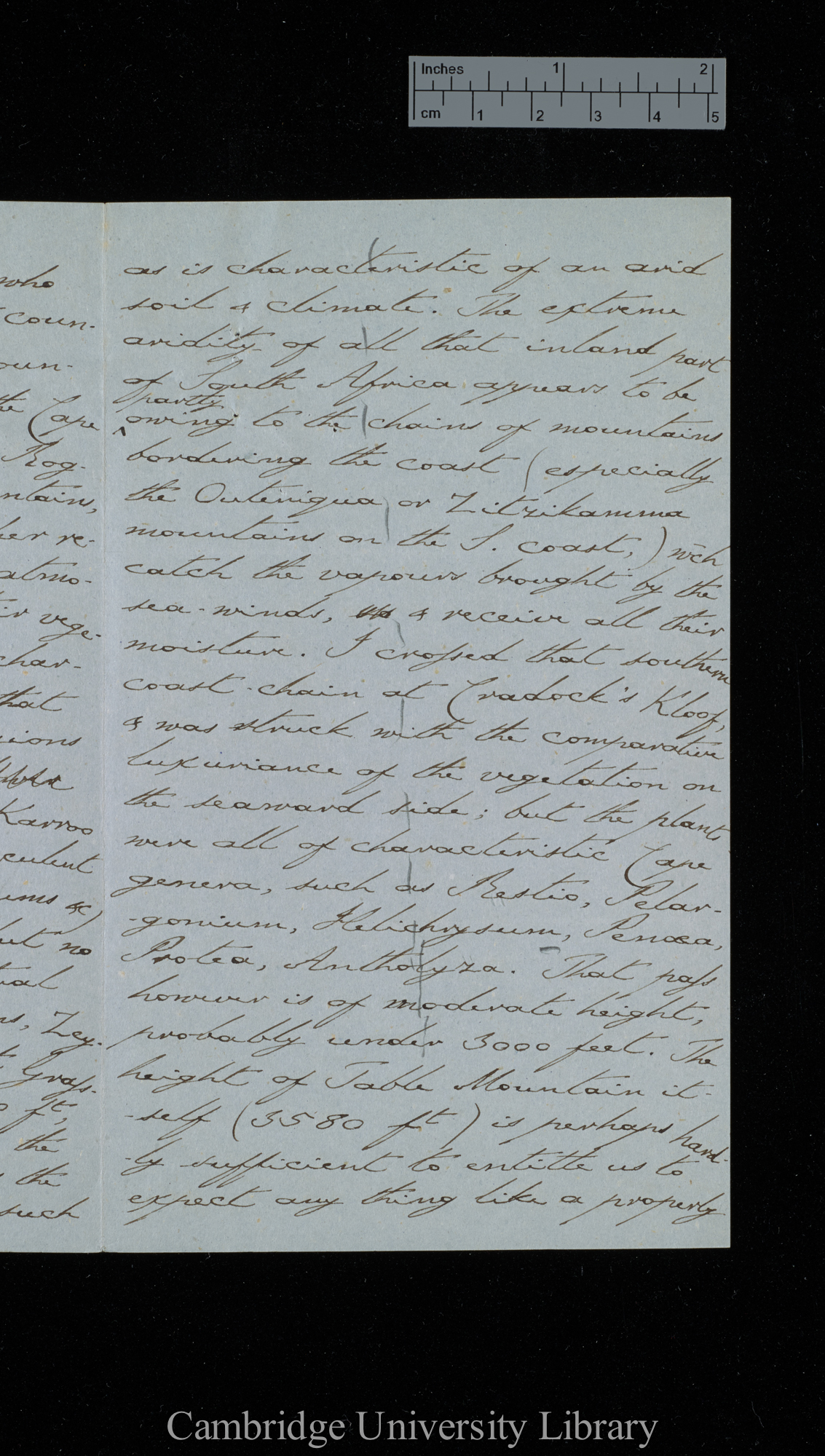 [Sir Charles J Fox Bunbury] to Charles Robert Darwin