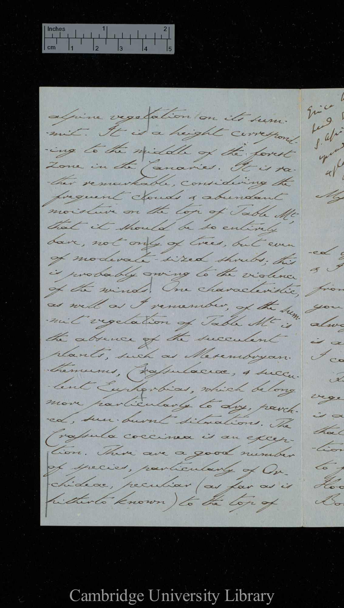 [Sir Charles J Fox Bunbury] to Charles Robert Darwin