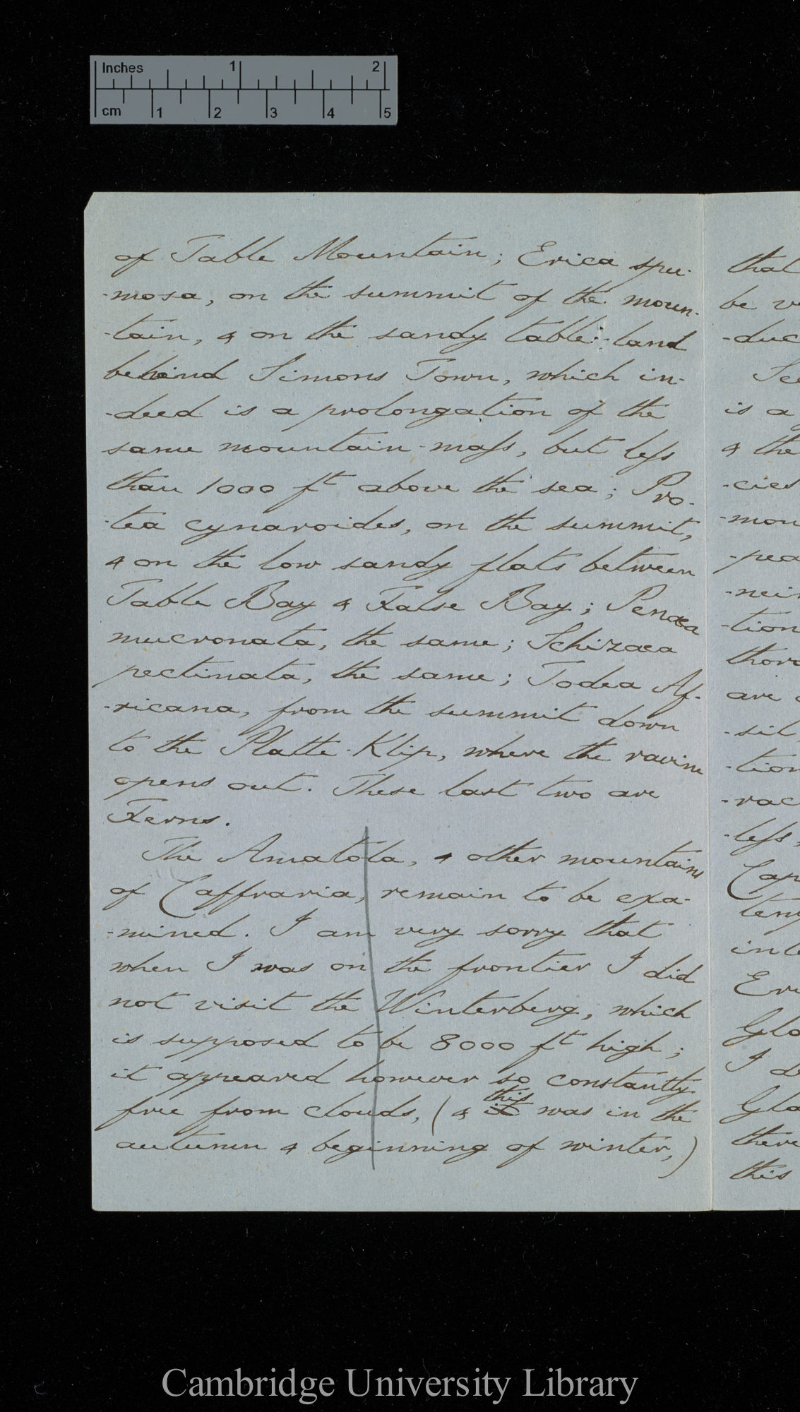 [Sir Charles J Fox Bunbury] to Charles Robert Darwin