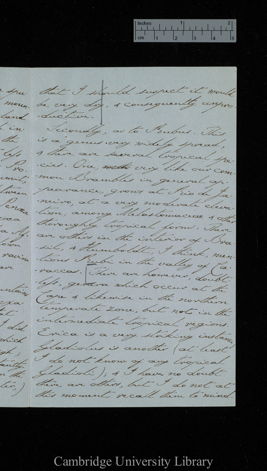 [Sir Charles J Fox Bunbury] to Charles Robert Darwin