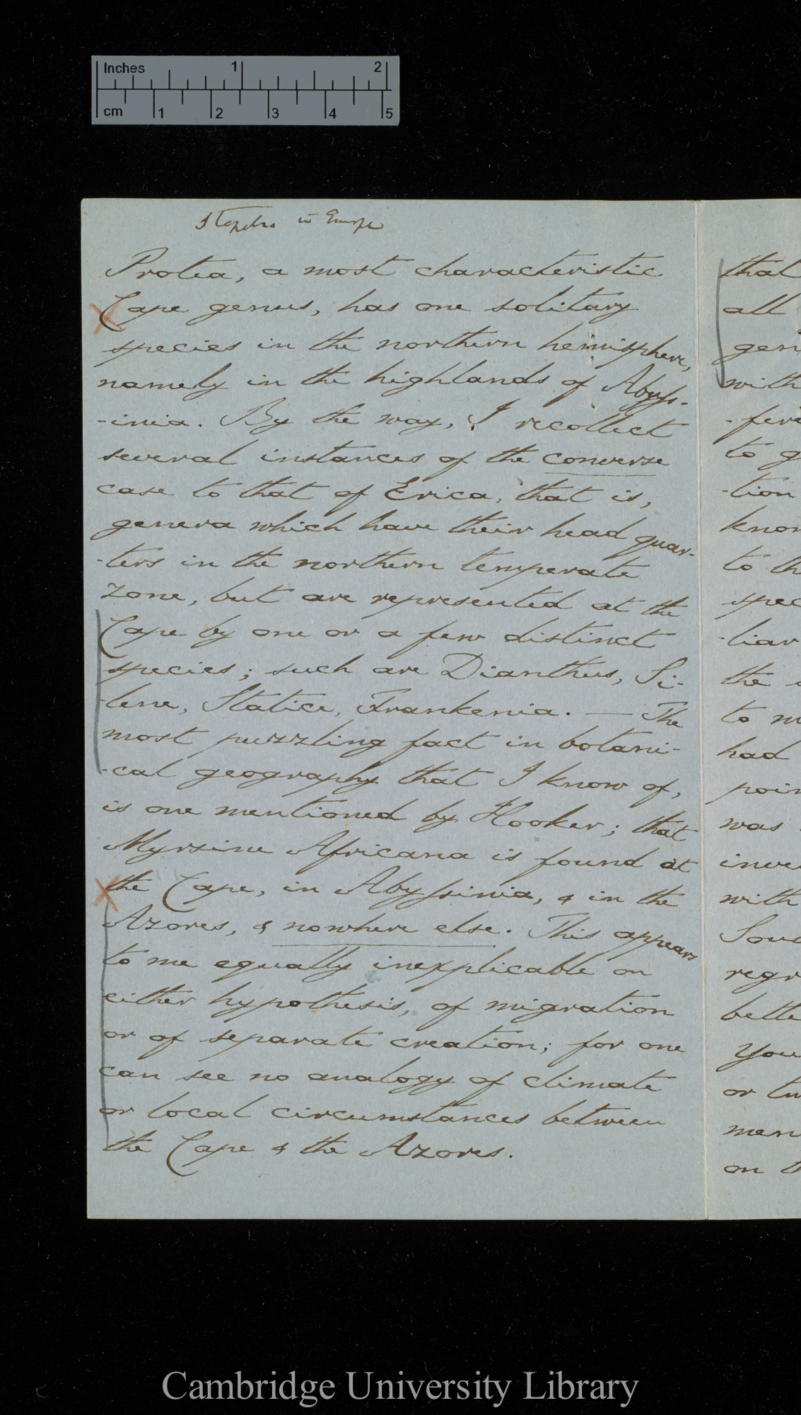 [Sir Charles J Fox Bunbury] to Charles Robert Darwin