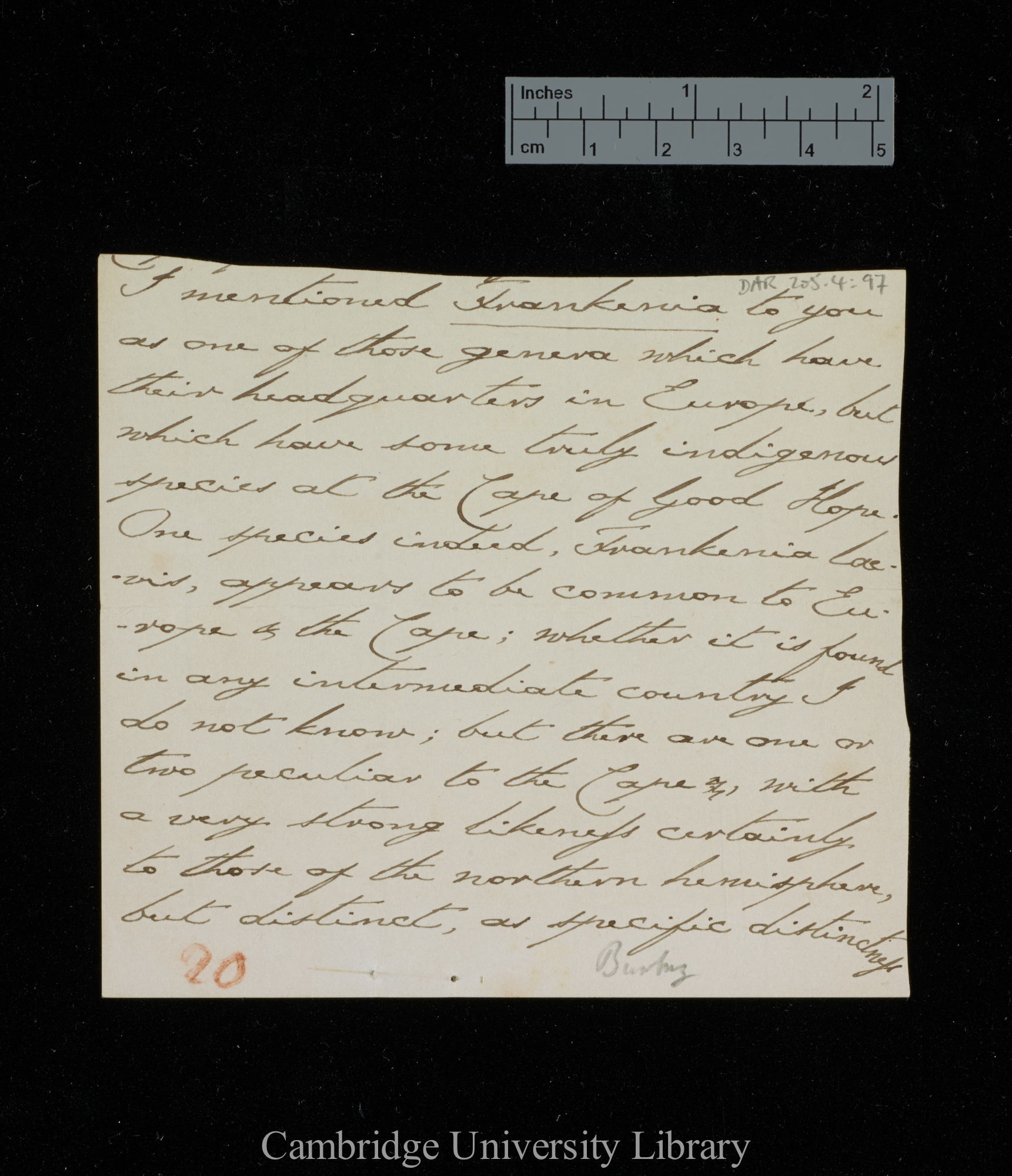 Sir Charles J Fox Bunbury to Charles Robert Darwin