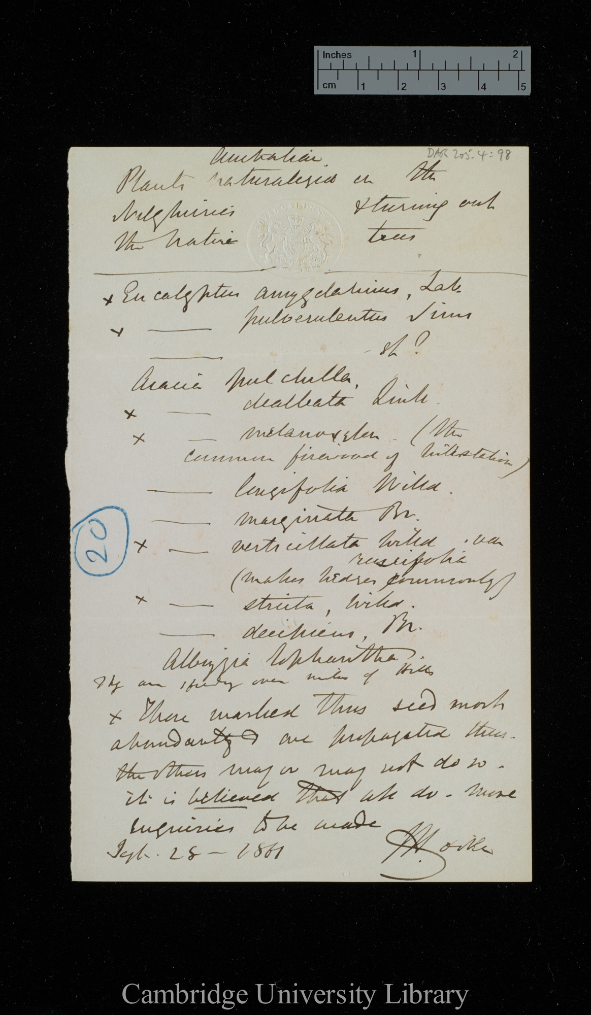 Letter from Sir Joseph Dalton Hooker to Charles Robert Darwin; written at Kew