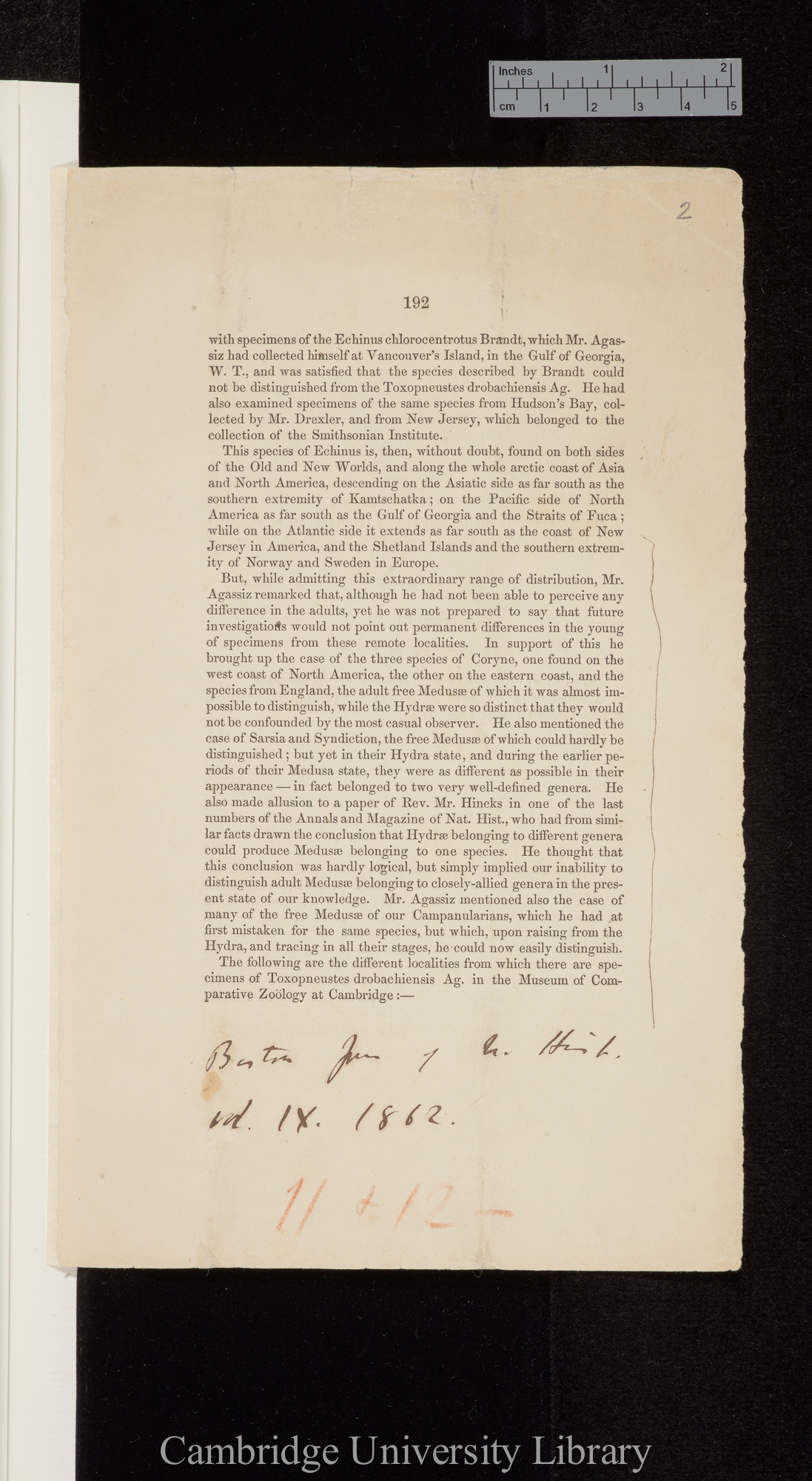 The fossil crab of Gay Head &#39;(Boston) Society of Natural History, Journal&#39; 9: 192