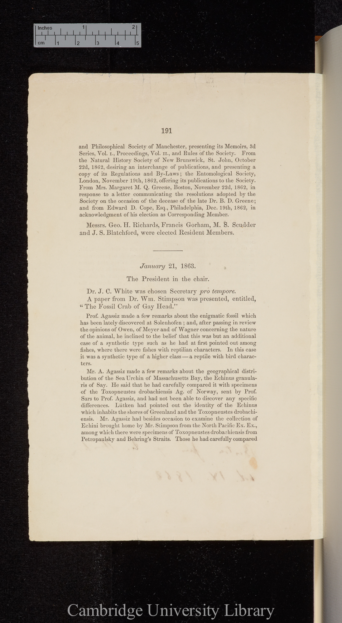 The fossil crab of Gay Head &#39;(Boston) Society of Natural History, Journal&#39; 9: 191