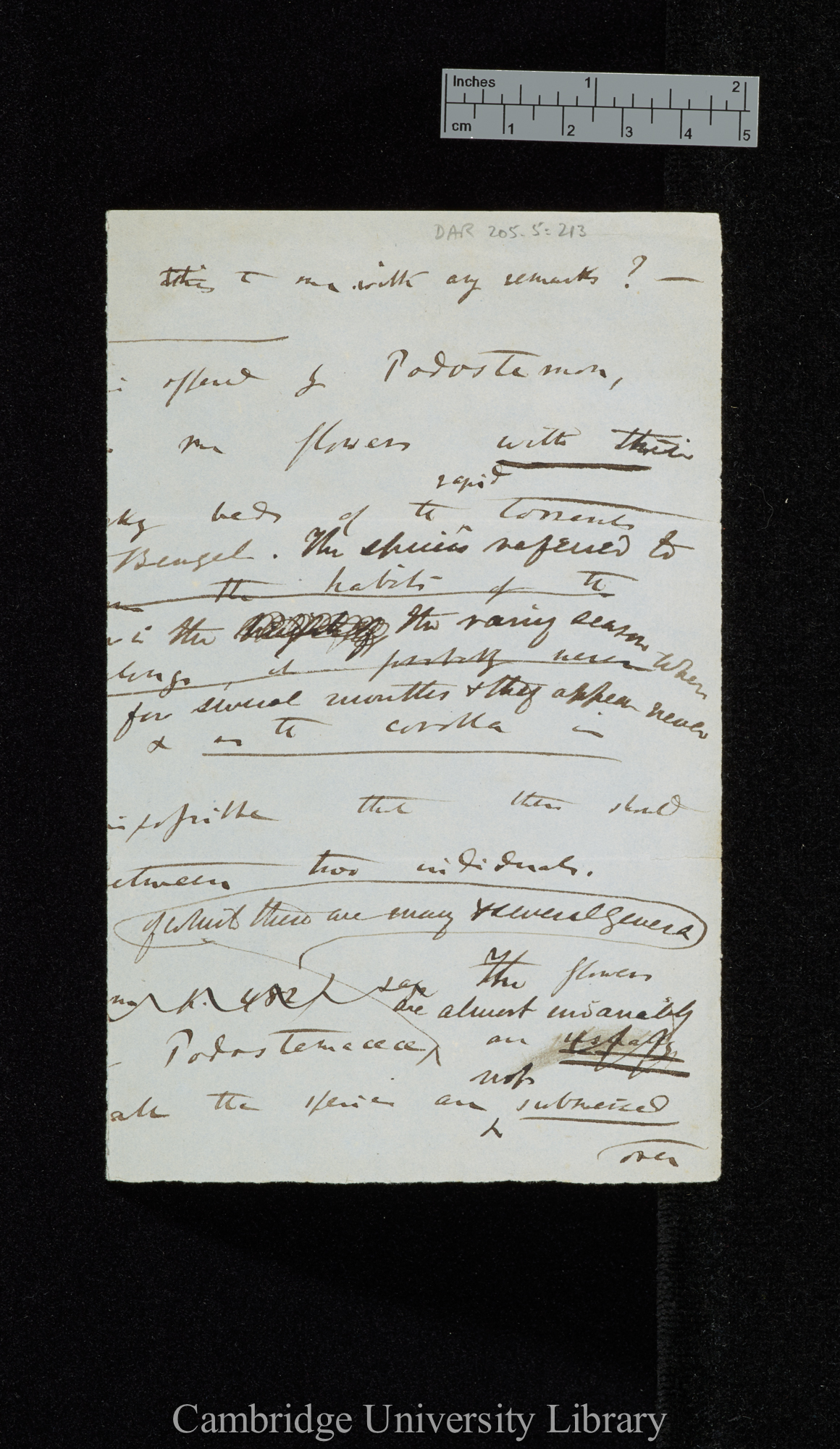 Charles Robert Darwin to Sir Joseph Dalton Hooker