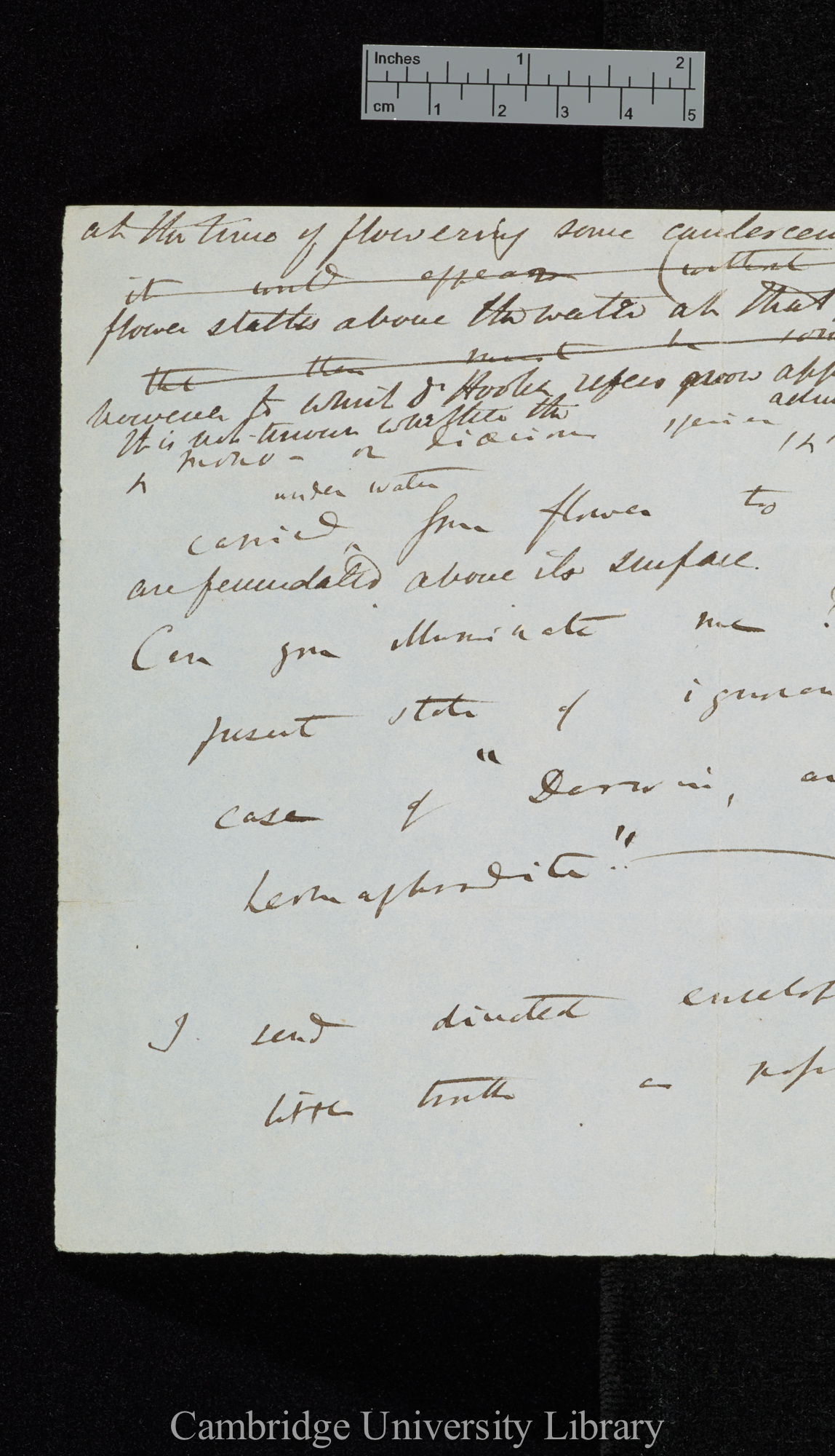 Charles Robert Darwin to Sir Joseph Dalton Hooker