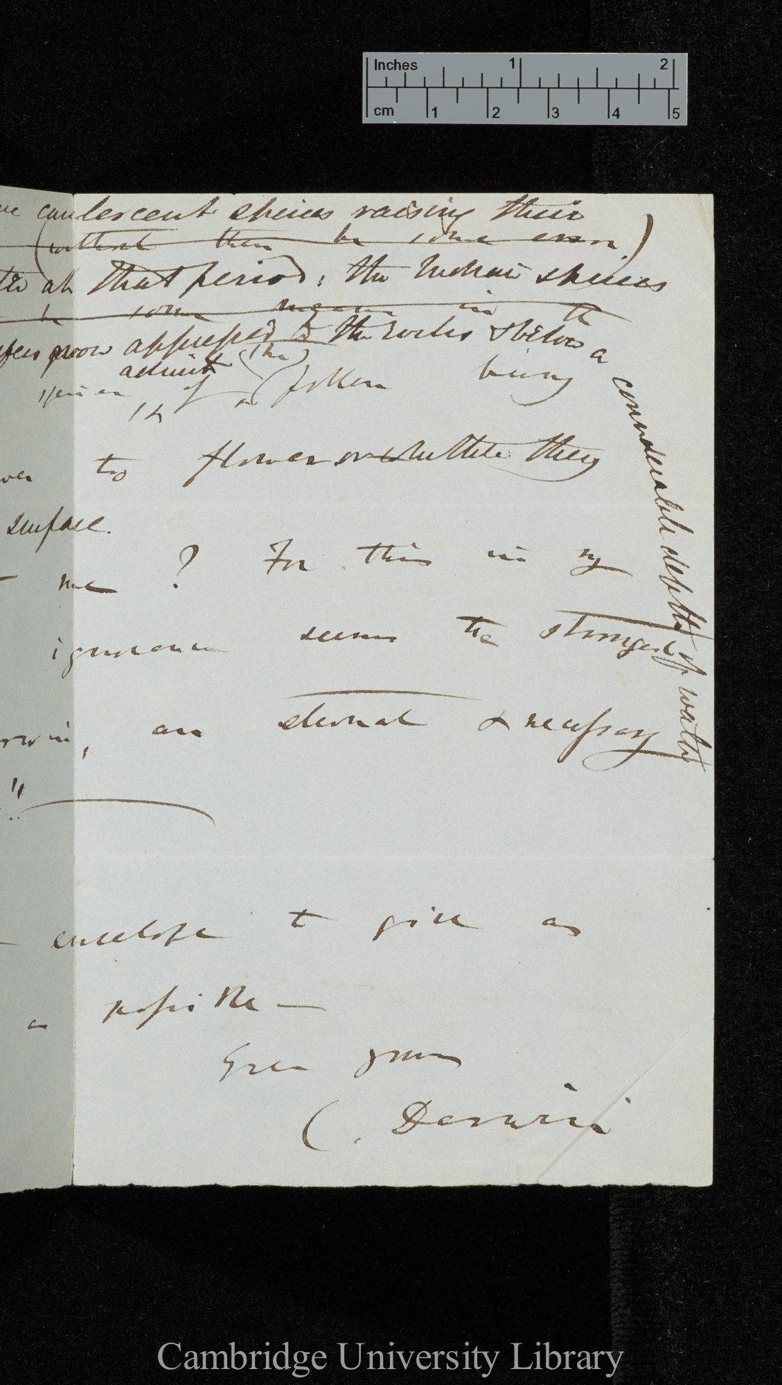 Charles Robert Darwin to Sir Joseph Dalton Hooker