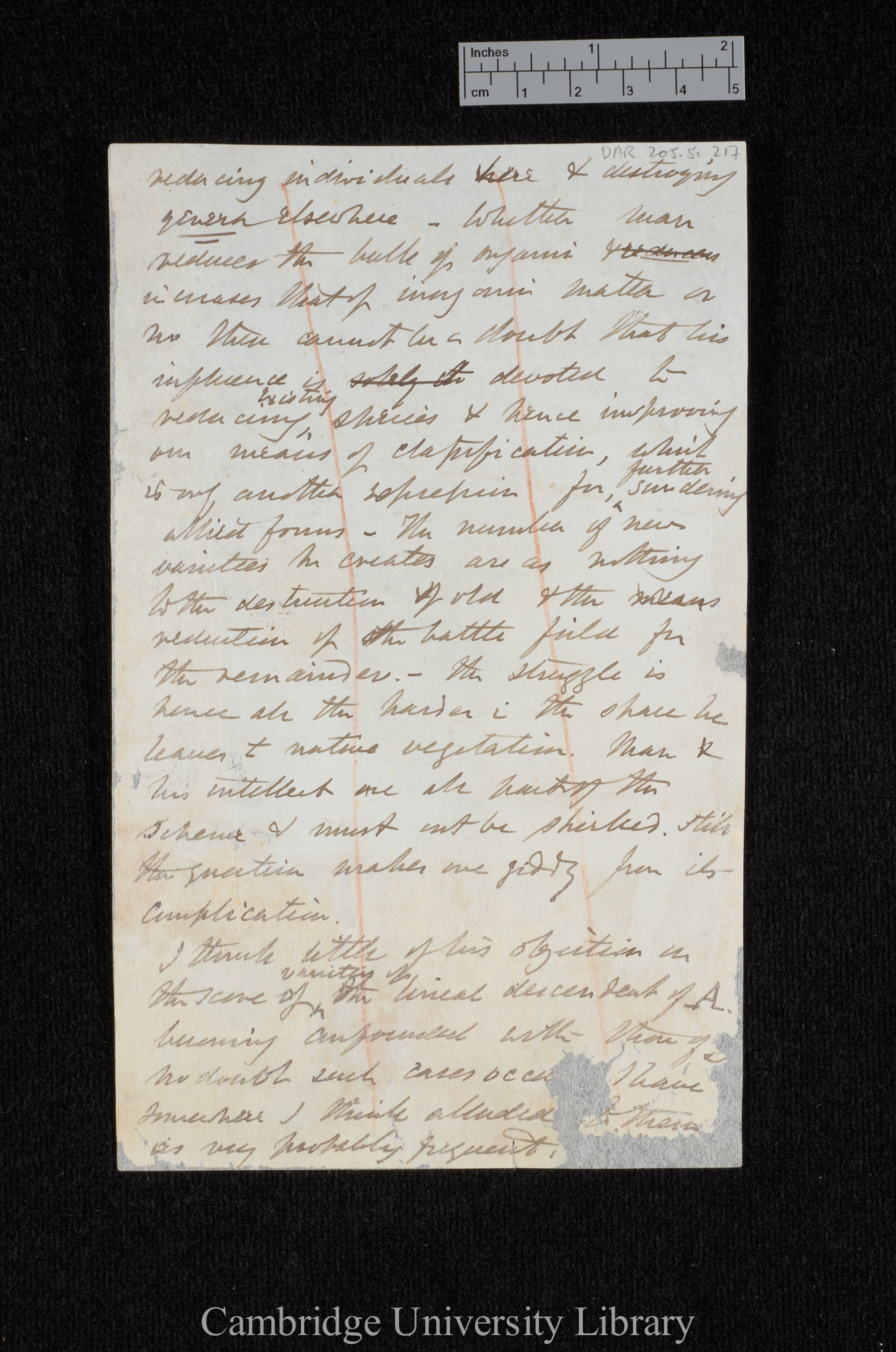 [Sir Joseph Dalton Hooker] to Charles Robert Darwin