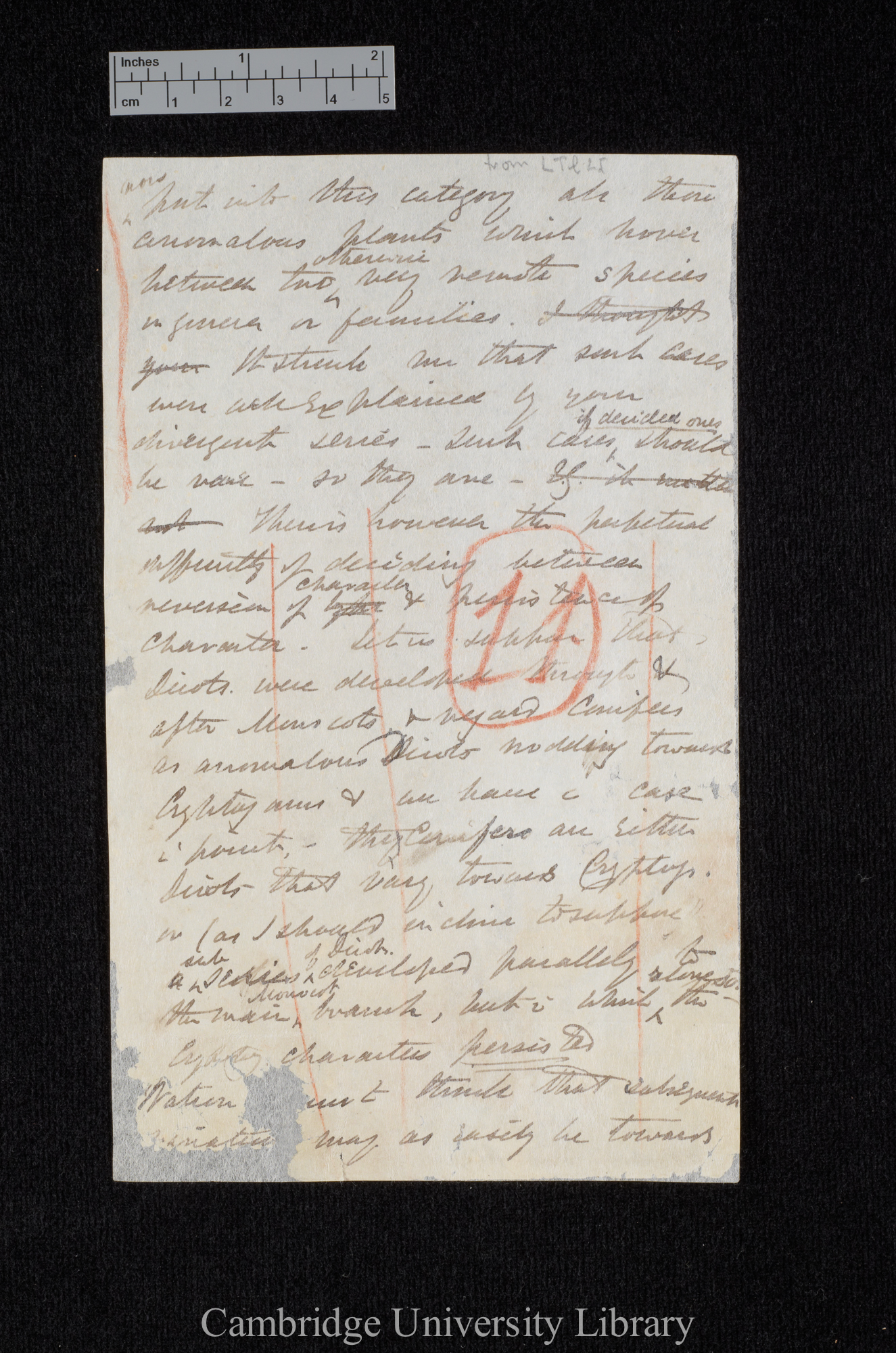 [Sir Joseph Dalton Hooker] to Charles Robert Darwin