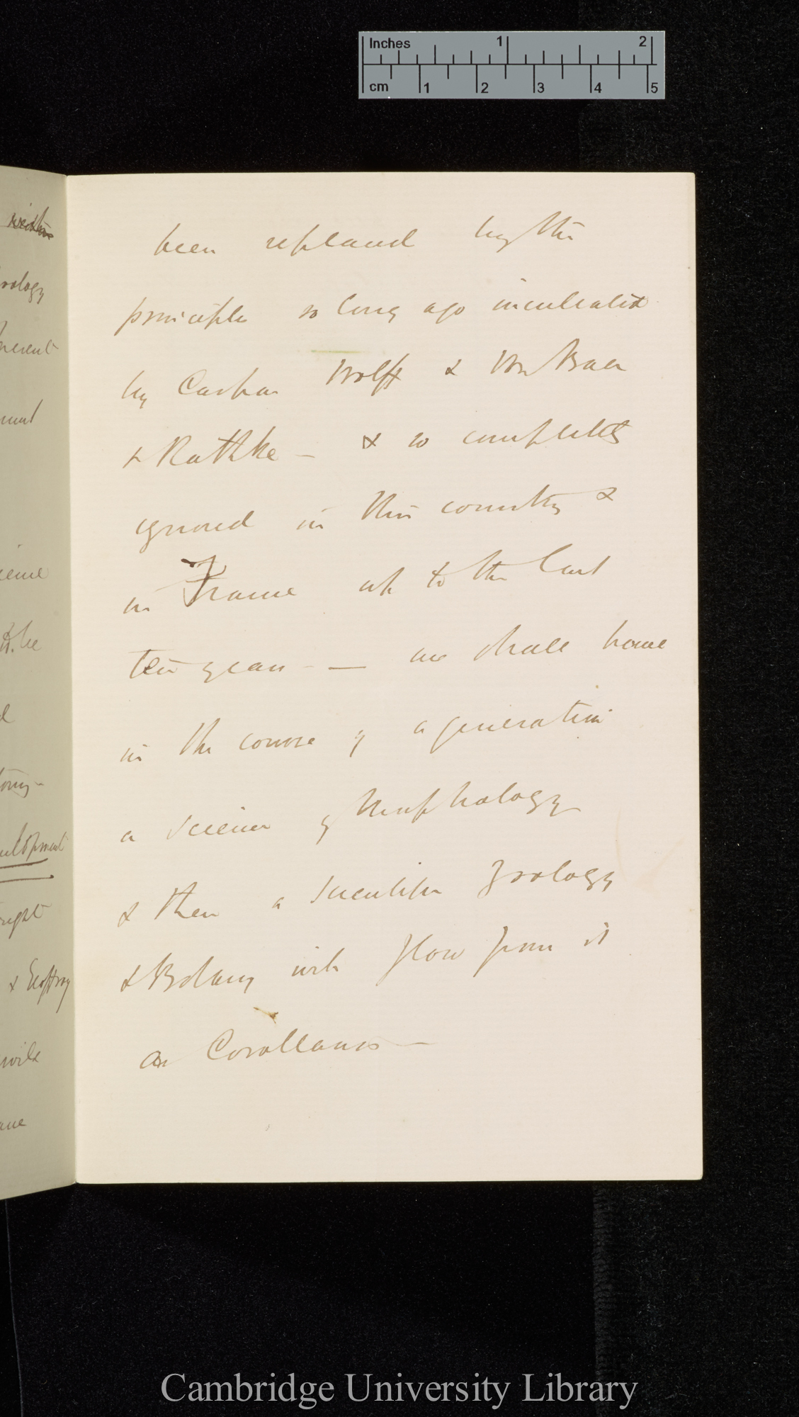 Thomas Henry Huxley to Charles Robert Darwin