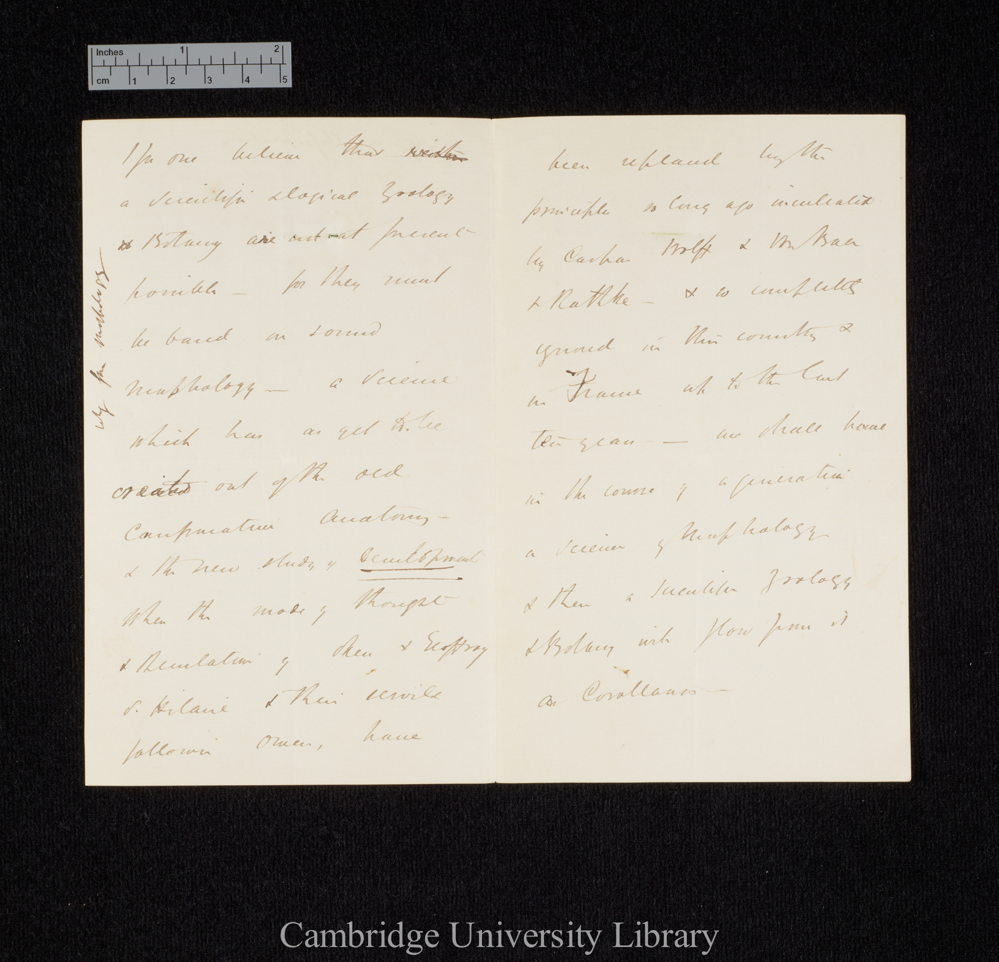 Thomas Henry Huxley to Charles Robert Darwin