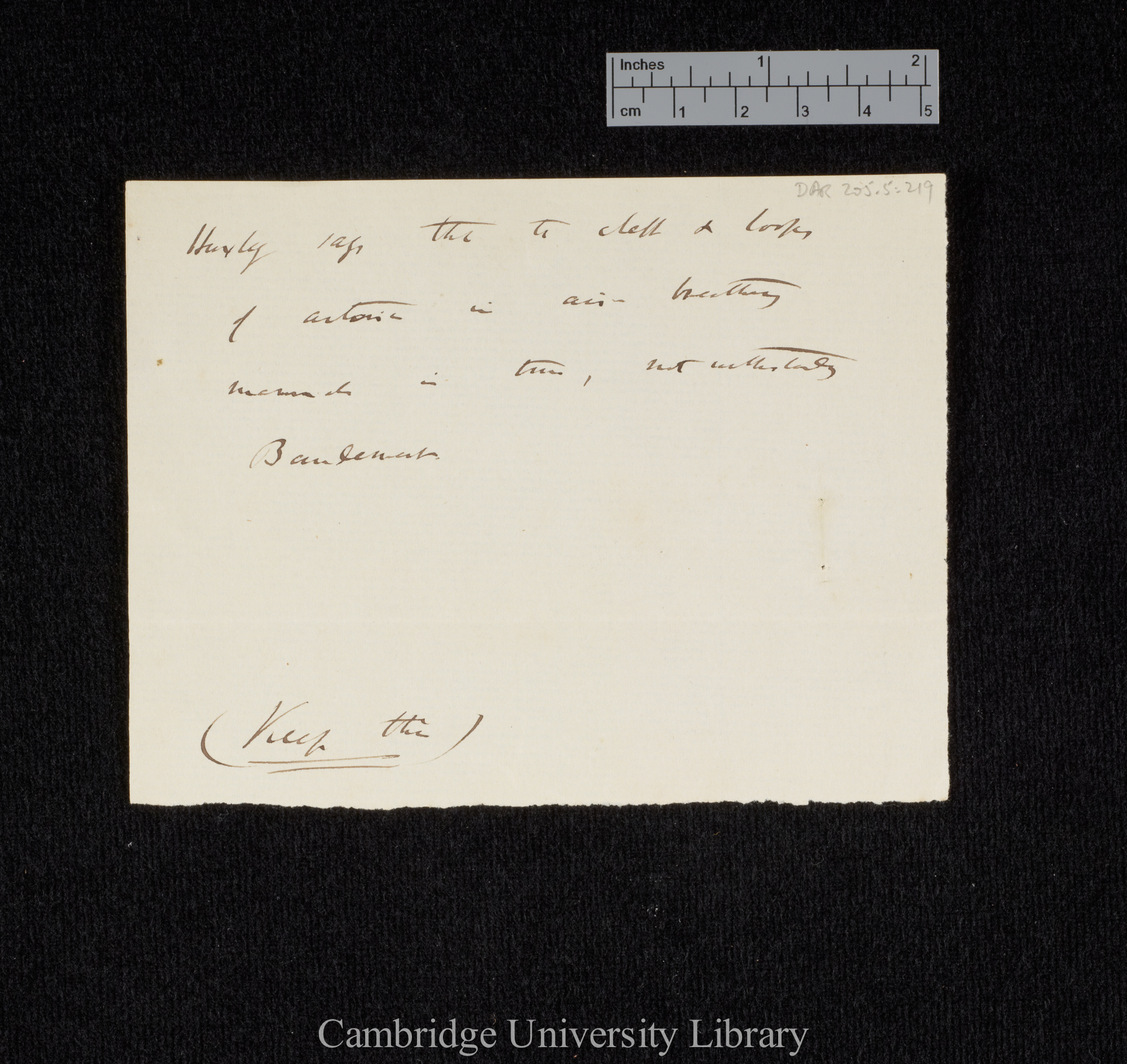 Thomas Henry Huxley to Charles Robert Darwin [note by CD]