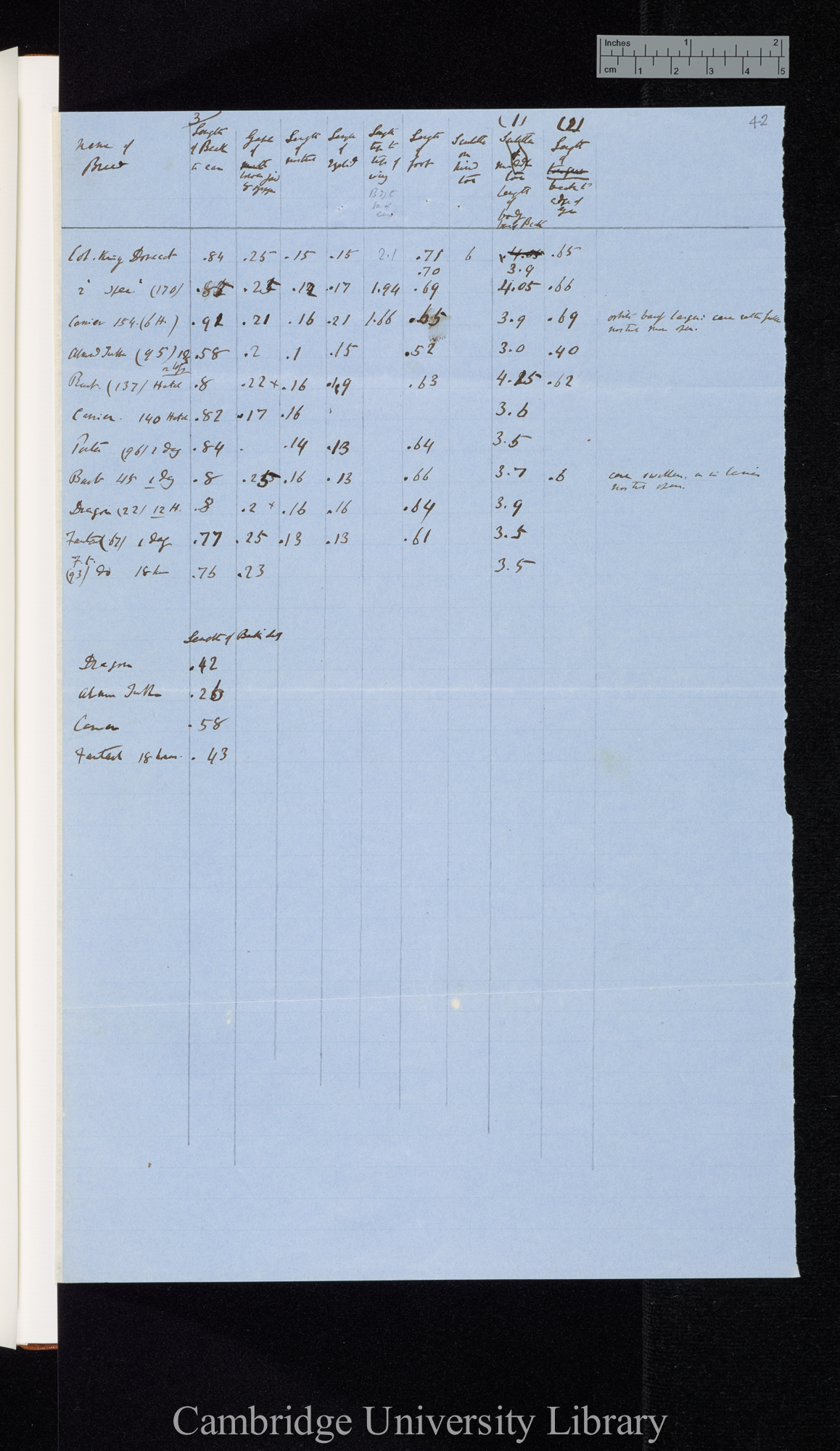 &#39;Embryology of Pigeons&#39; [with table]