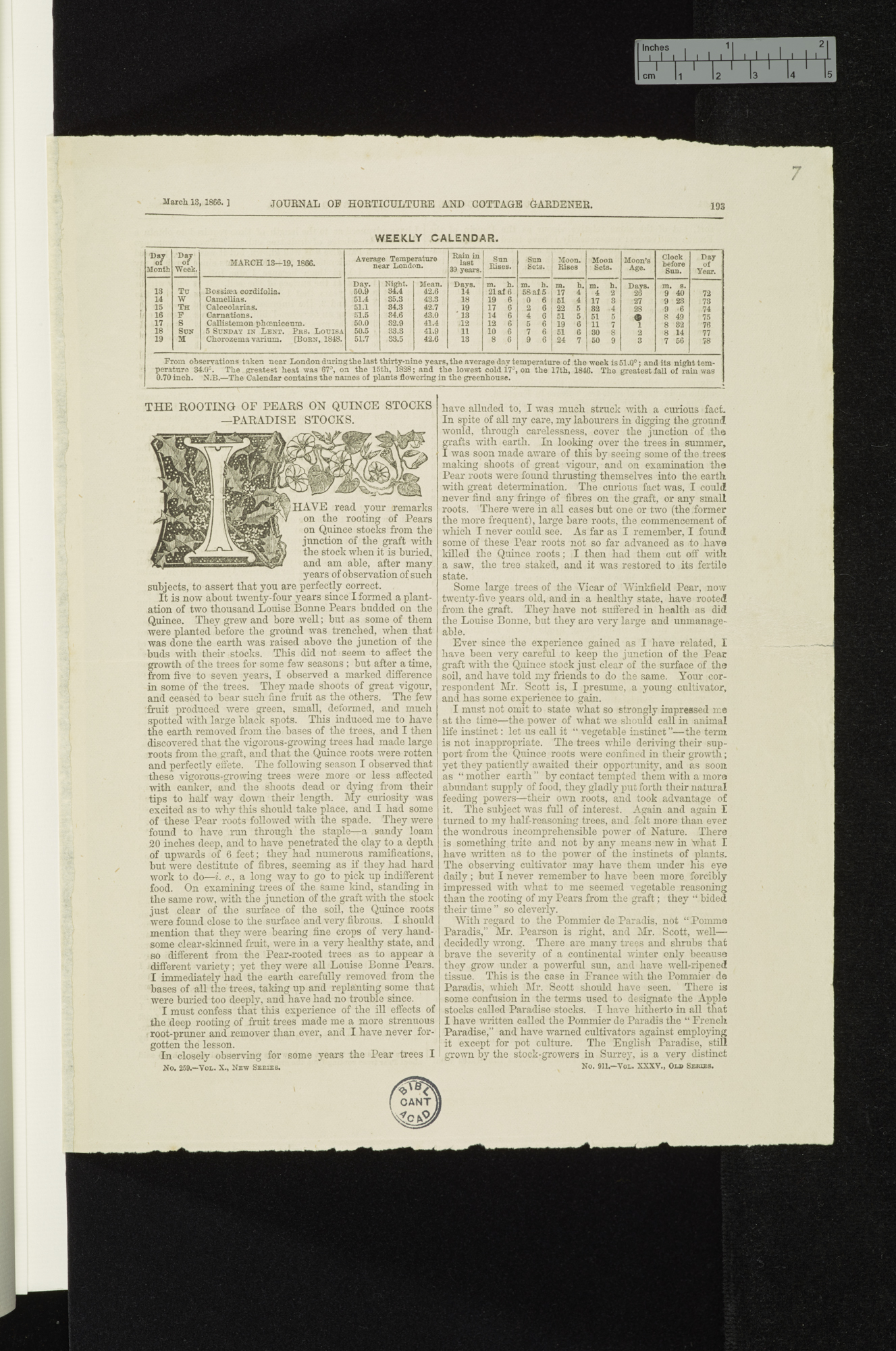 The rooting of pears on quince stocks: paradise stocks &#39;Journal of Horticulture and Cottage Gardener: 193