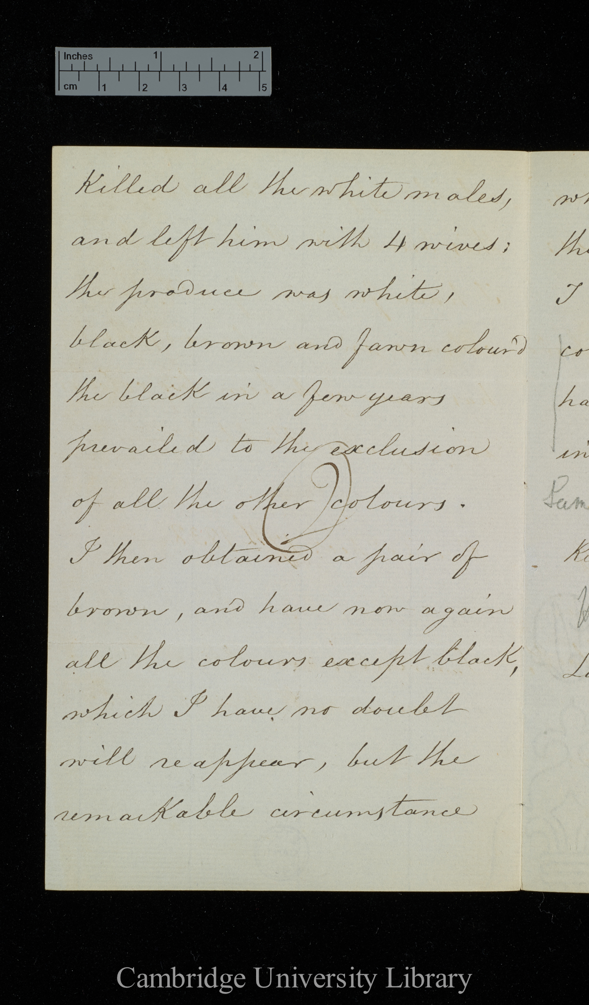 William Yarrell to Charles Robert Darwin