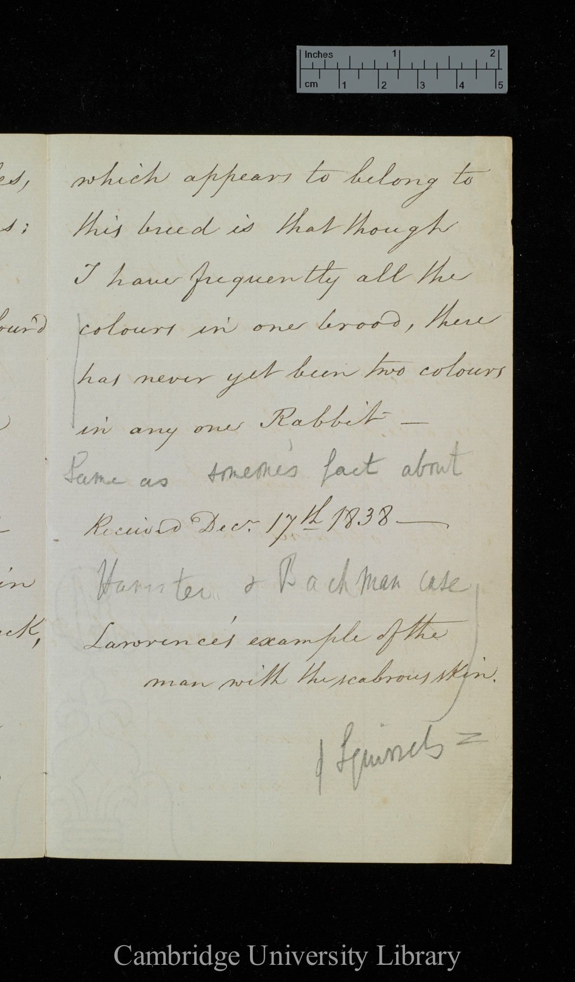 William Yarrell to Charles Robert Darwin