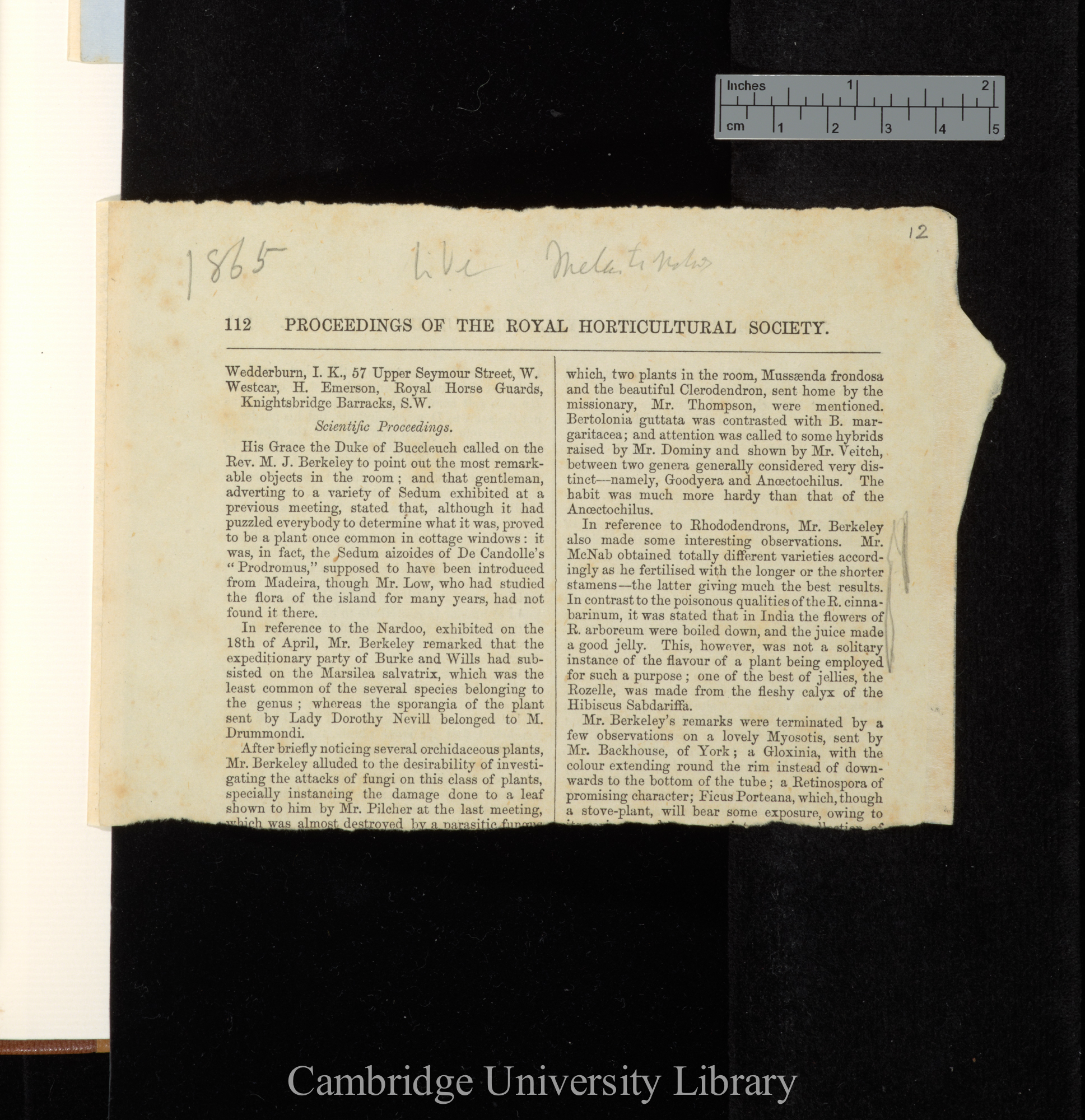 Report of ordinary general meeting of 16 May 1865 &#39;Royal Horticultural Society, Proceedings&#39; 5: 112