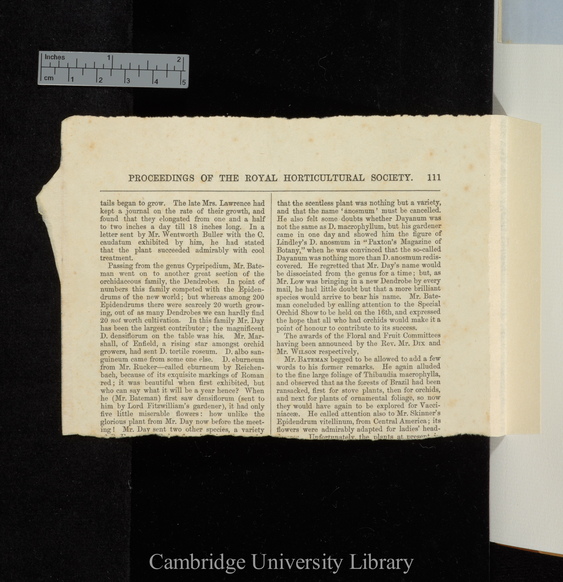 Report of ordinary general meeting of 16 May 1865 &#39;Royal Horticultural Society, Proceedings&#39; 5: 111