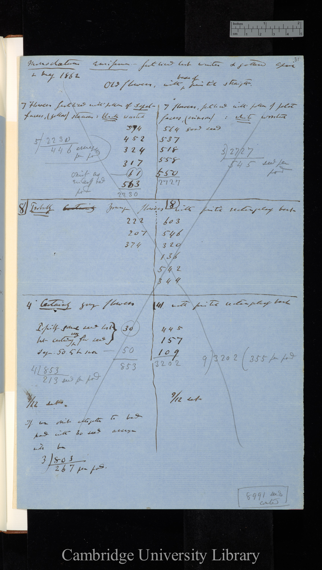 NS II Monochaetum - notes on plants-26 Note