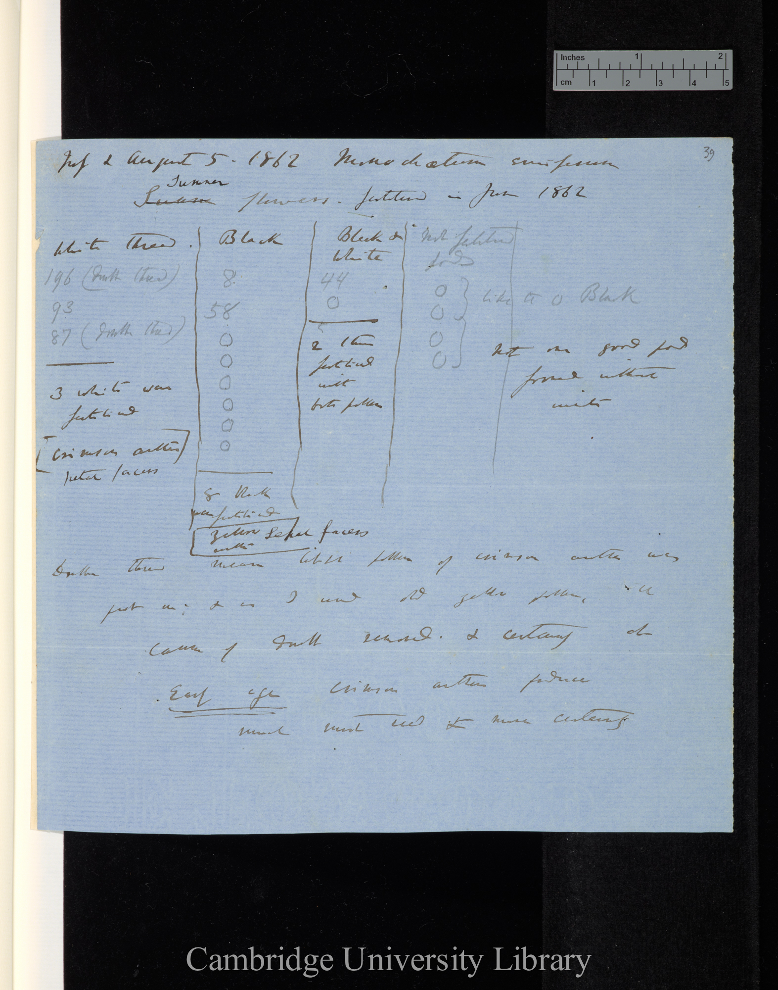 NS II Monochaetum - notes on plants-31 Note