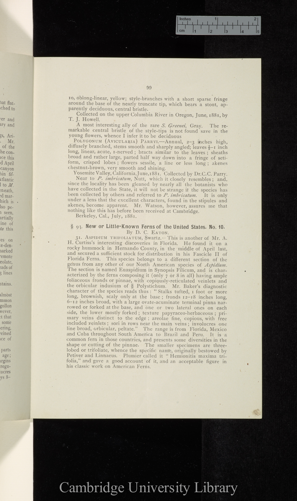 Eaton D C, New or little-known ferns of the United States &#39;Torrey Botanical Club, Bulletin&#39; 8: 99