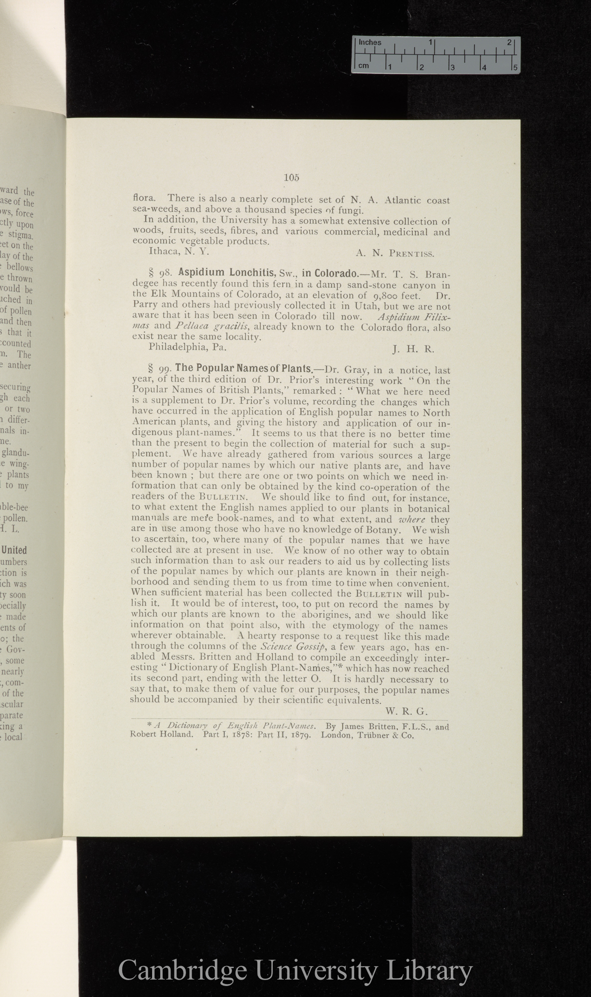 Redfield J H, Aspidium lonchitis in Colorado; Gerard W R, The Popular names of plants &#39;Torrey Botanical Club, Bulletin&#39; 8: 105