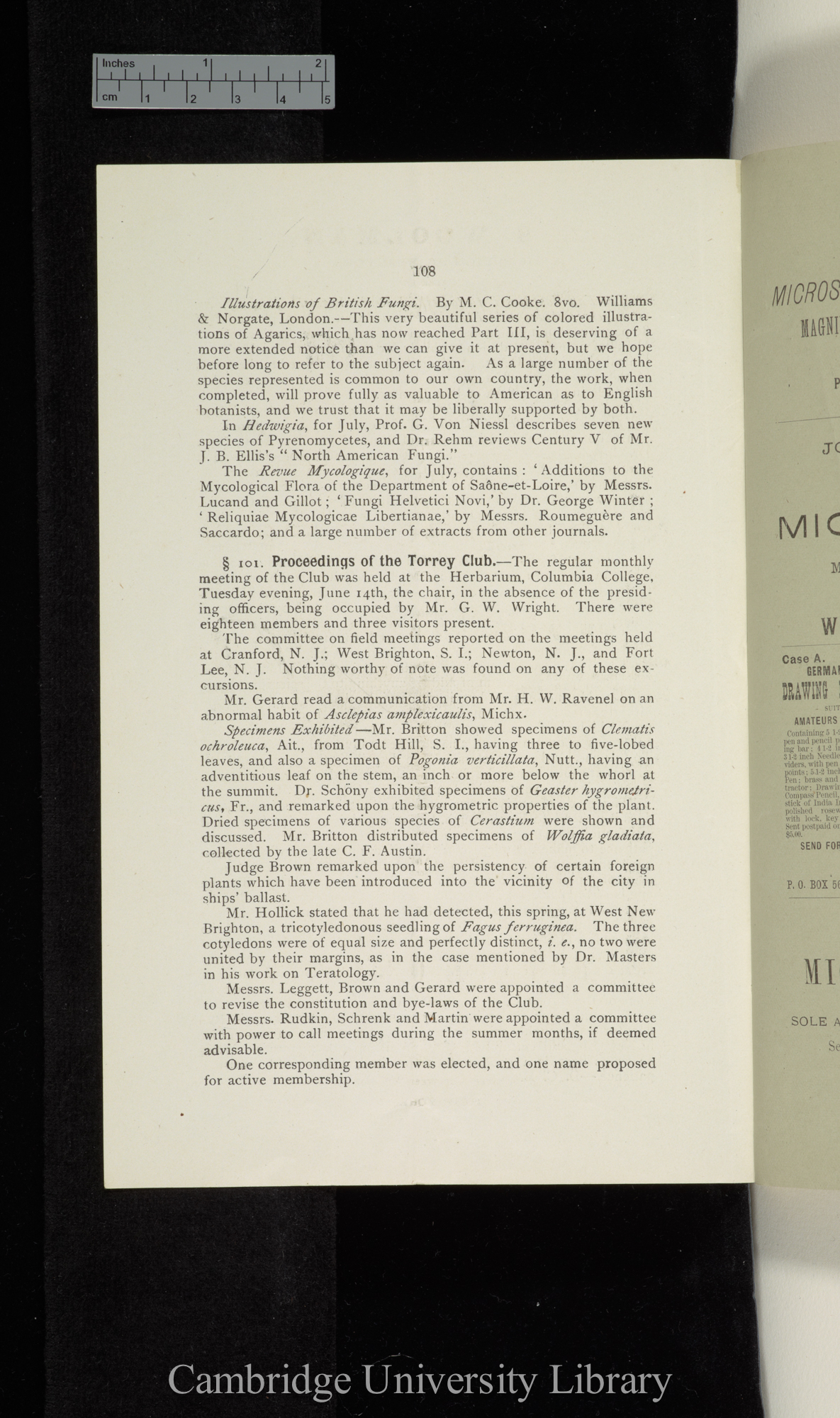 Proceedings of the Torrey Club &#39;Torrey Botanical Club, Bulletin&#39; 8: 108