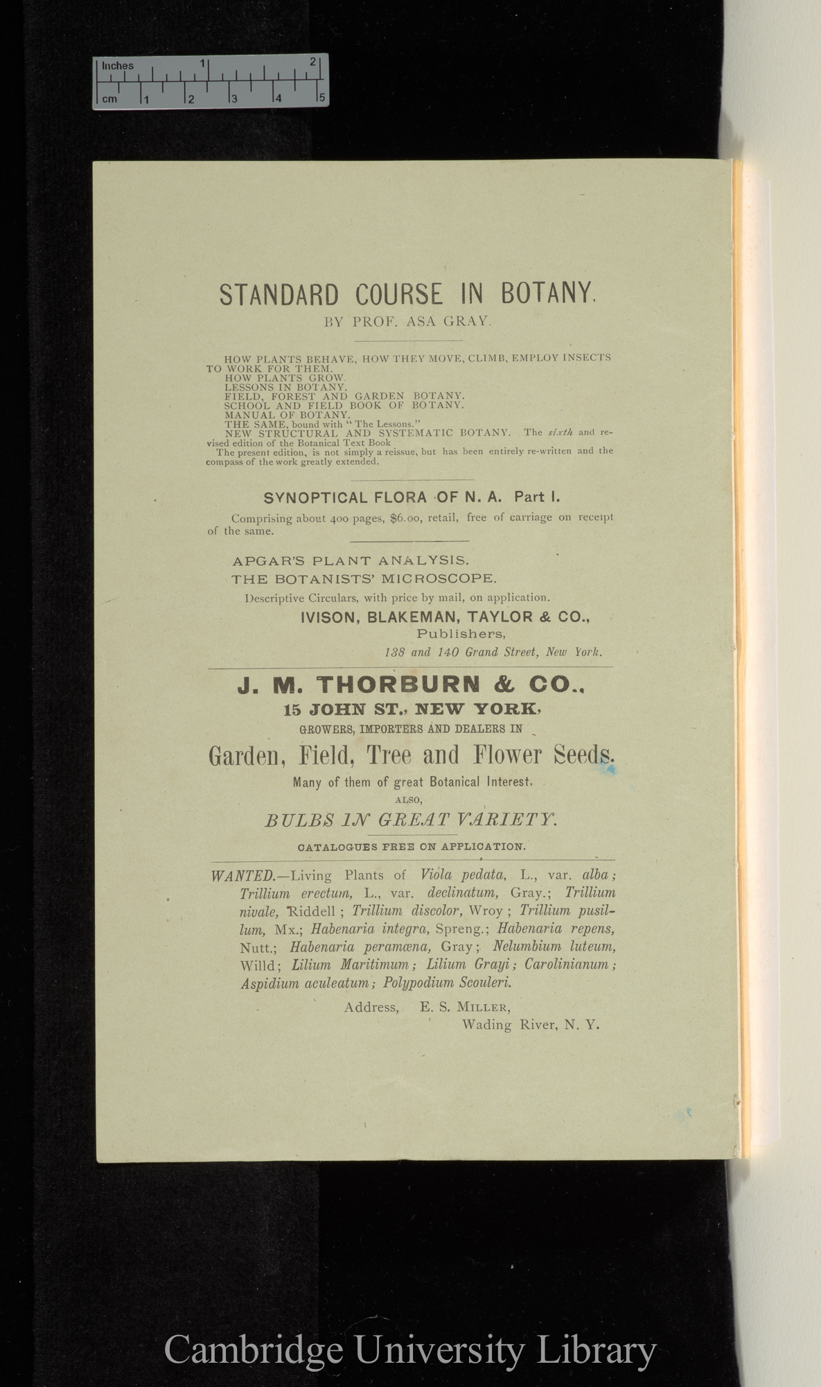 &#39;Torrey Botanical Club, Bulletin&#39; 8:  Back Cover-Advertisement 3