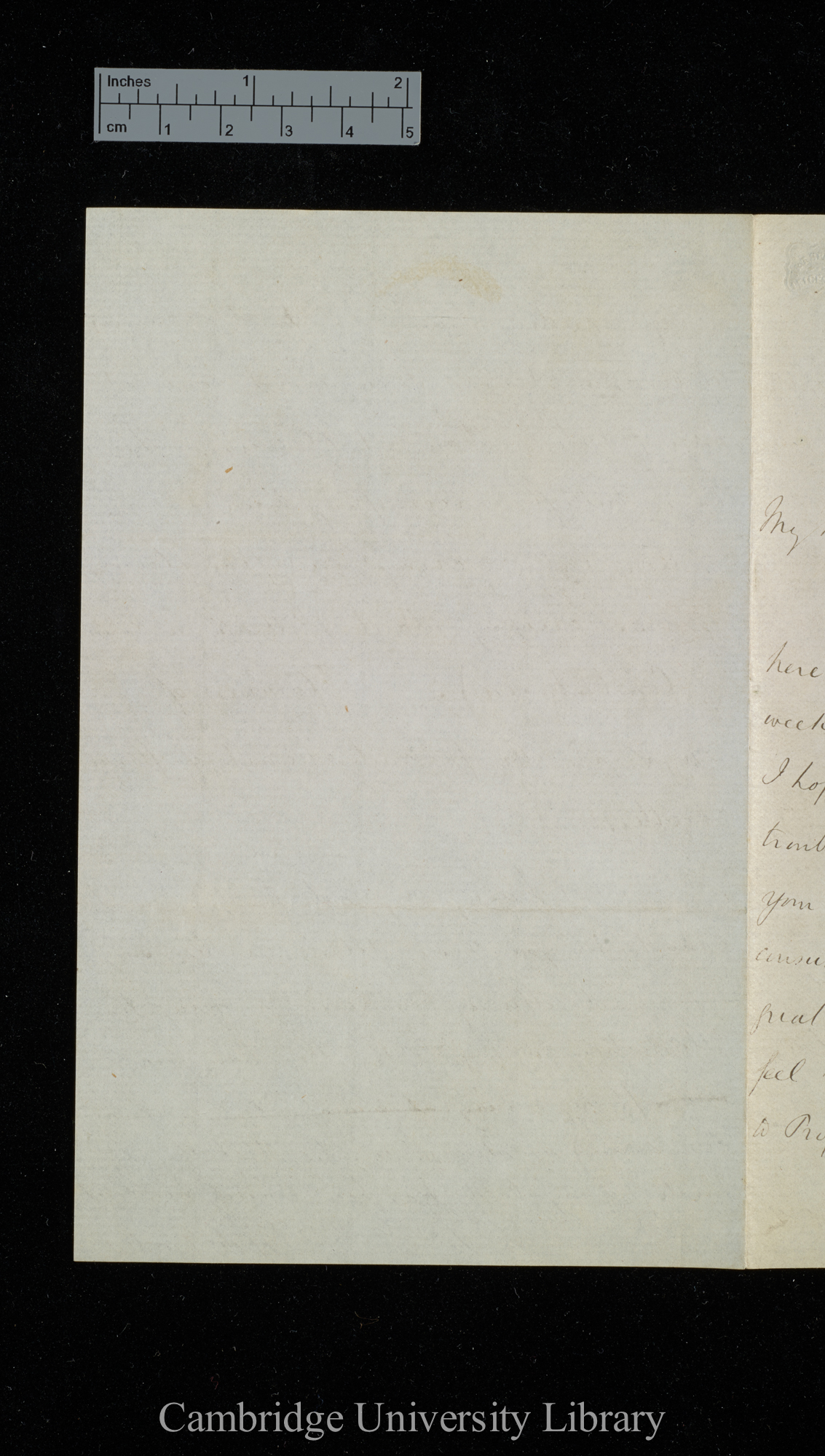 Henry Walter Bates to Charles Robert Darwin