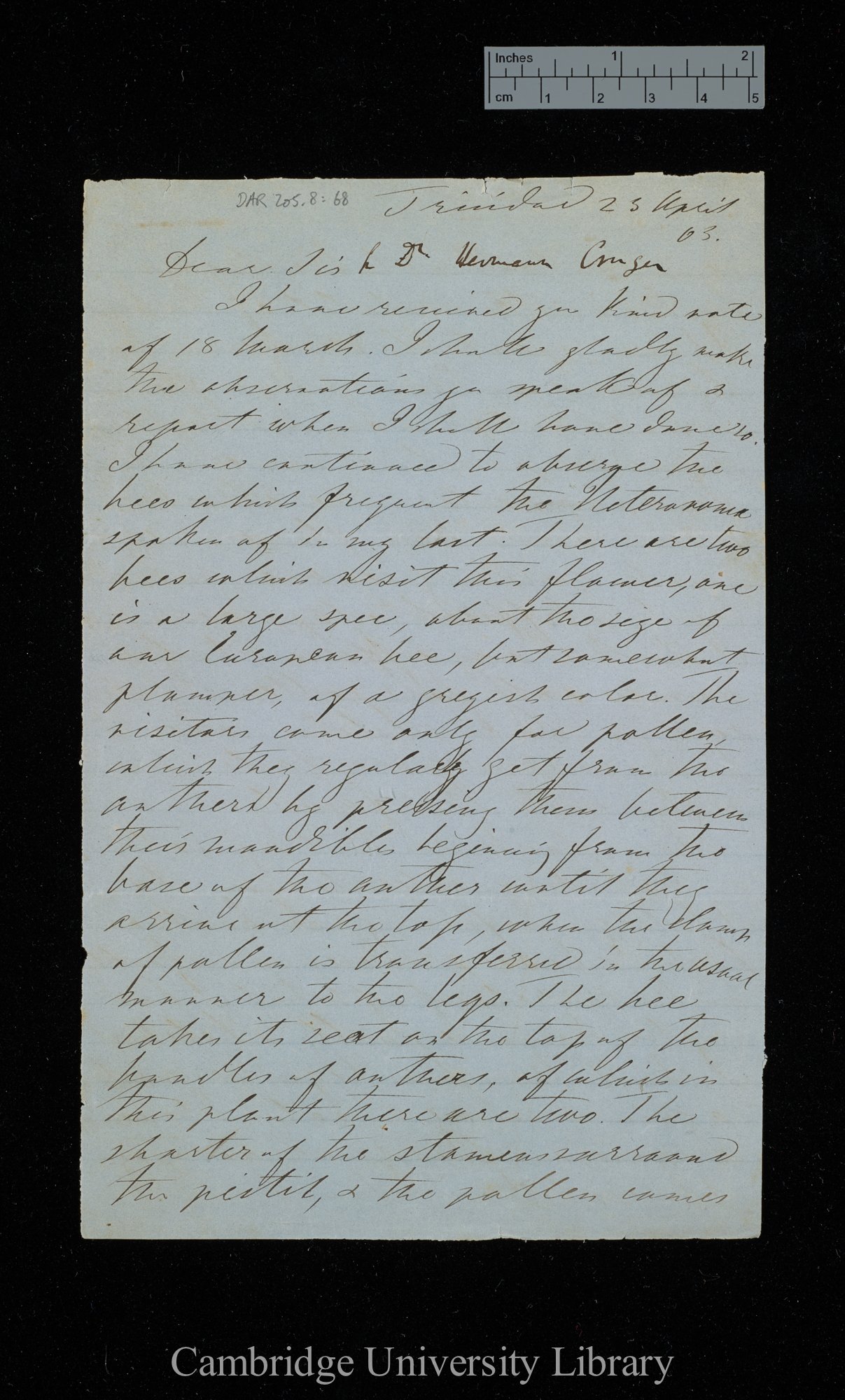 Hermann Crüger to Charles Robert Darwin