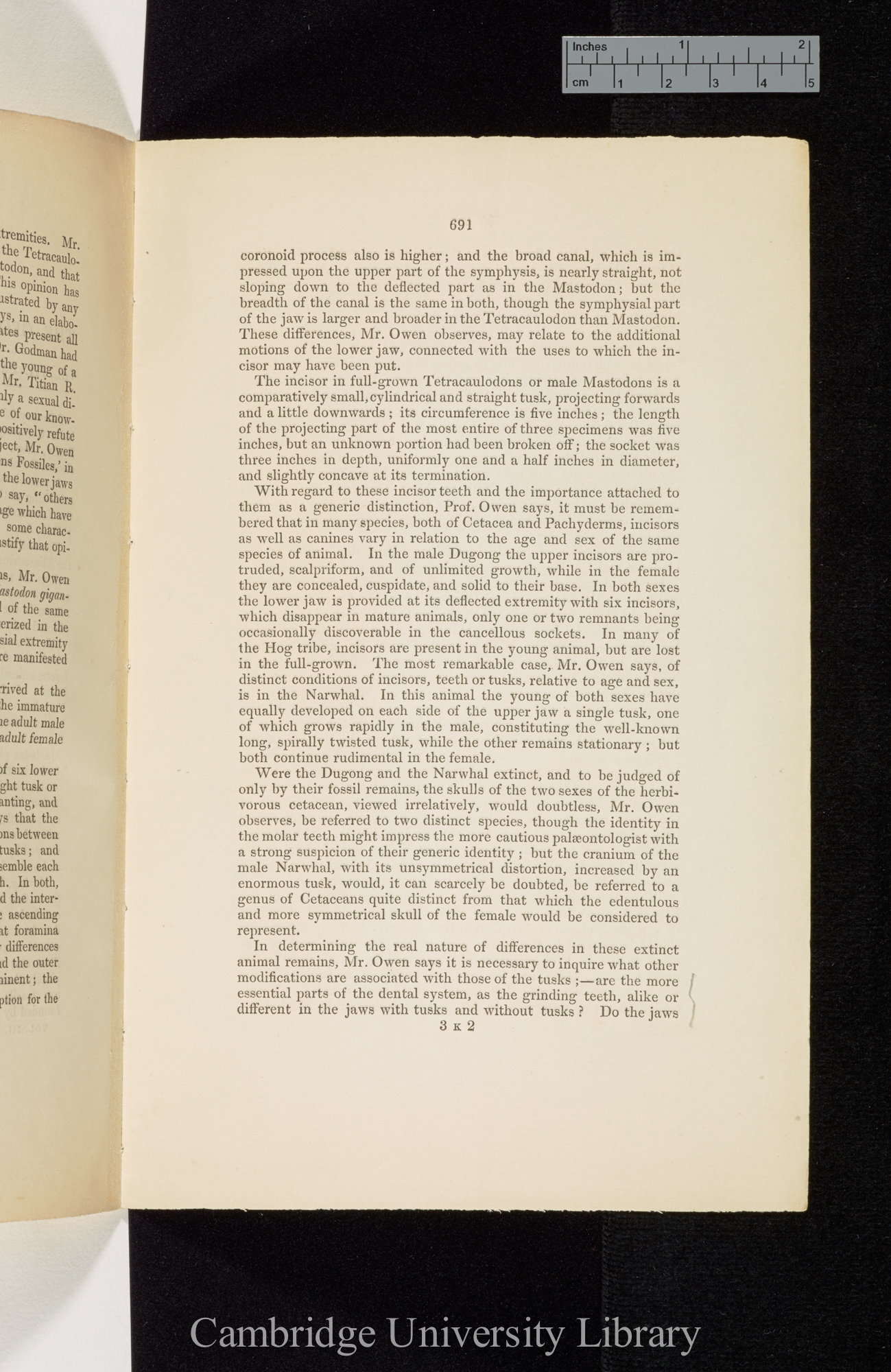 &#39;Royal Geological Society, Proceedings&#39; 3: 691