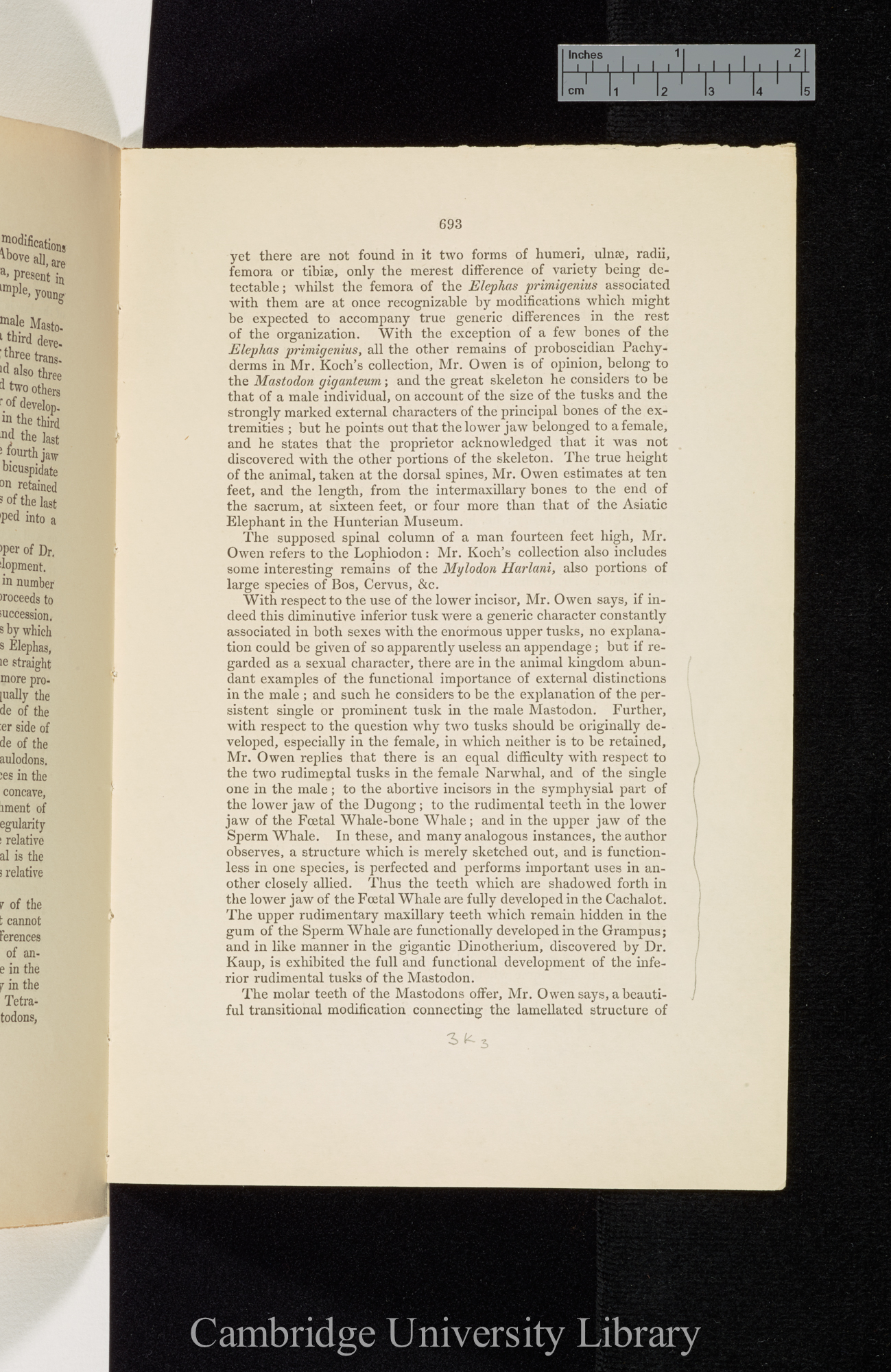 &#39;Royal Geological Society, Proceedings&#39; 3: 693