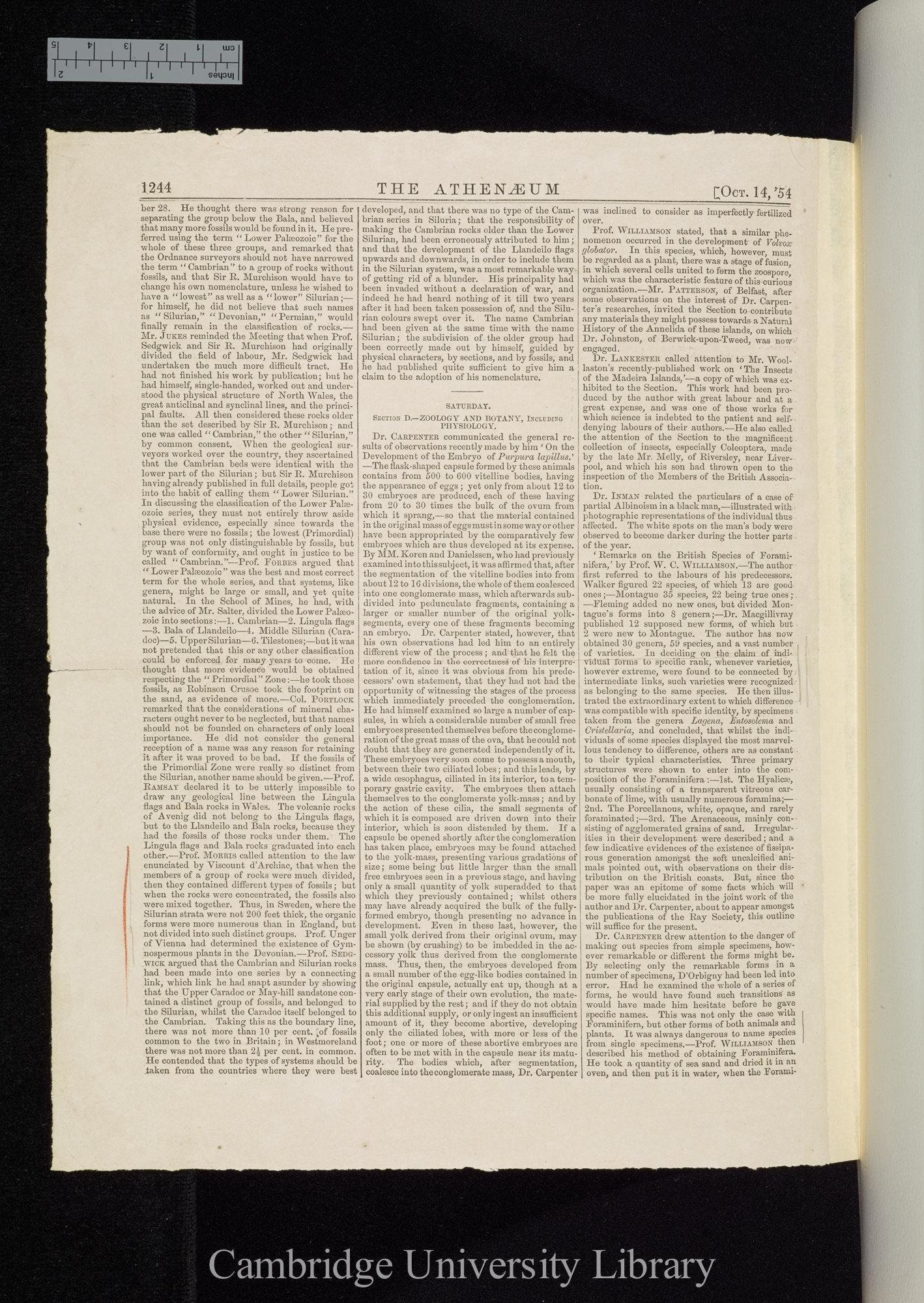 Murchison R. I. General observations on the palaeozoic rocks of Germany &#39;Athenaeum&#39;: 1244