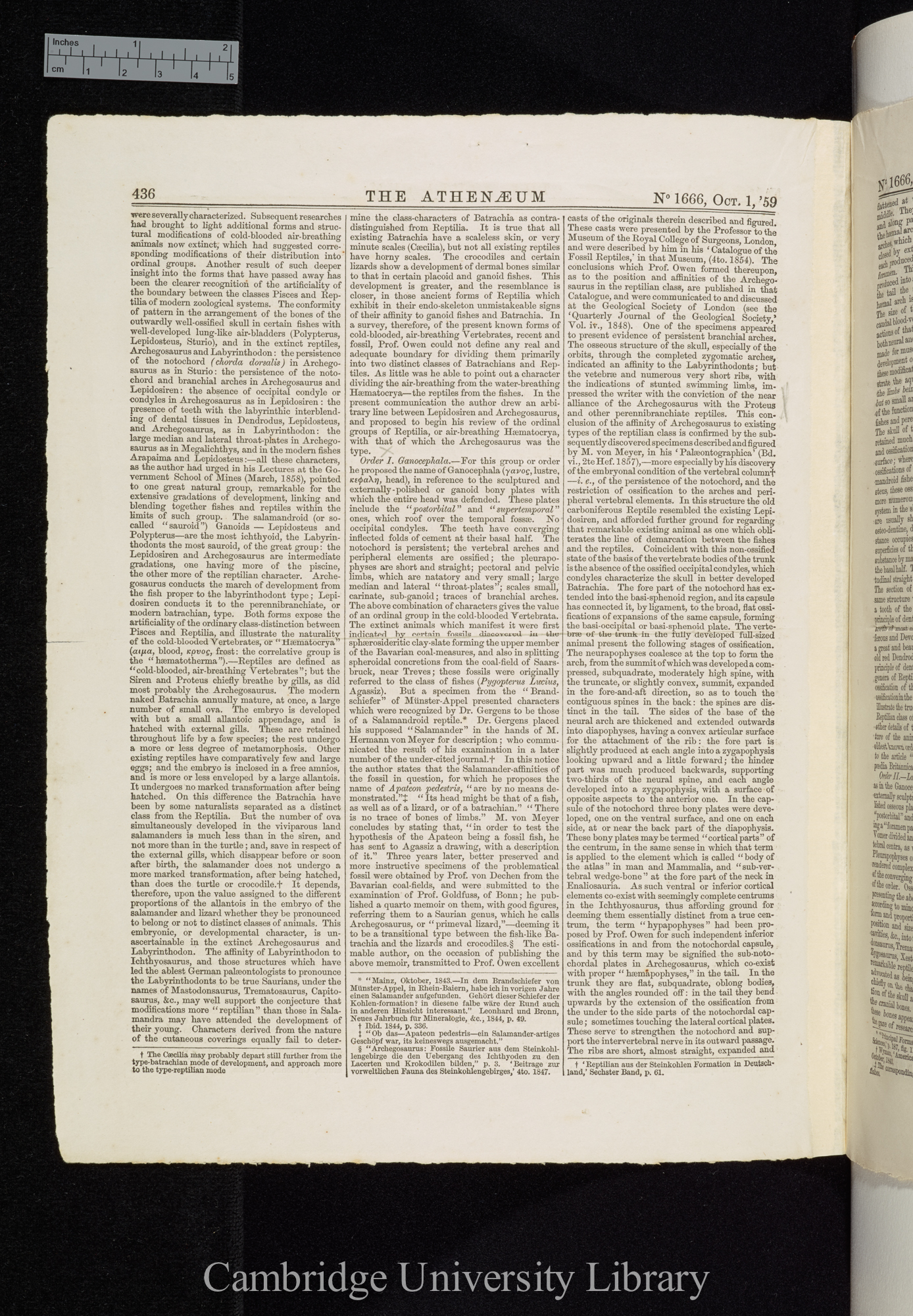 Owen, Richard. On the orders of fossil and recent Reptilia, and their distribution in time &#39;Athenaeum&#39;: 436