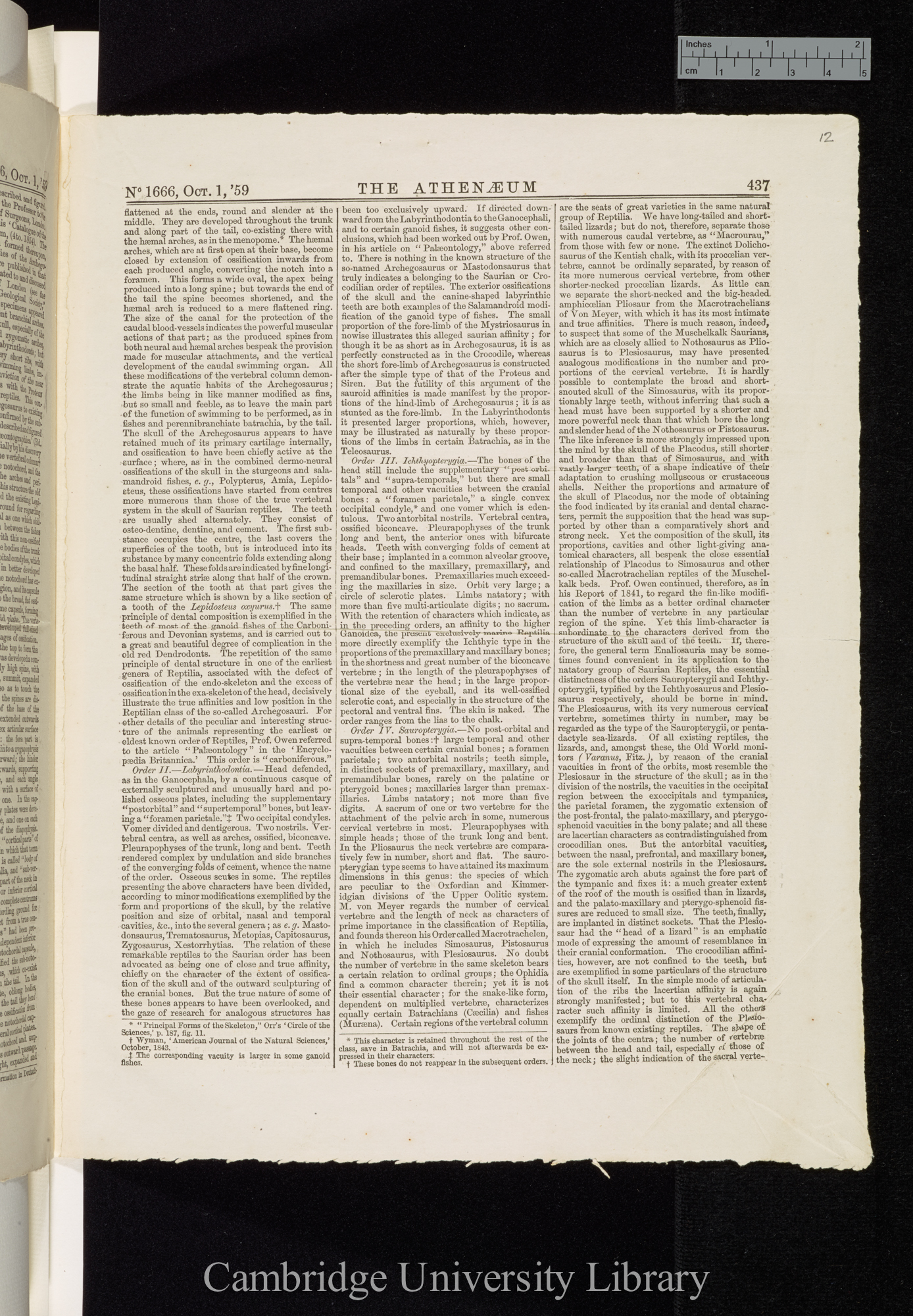 Owen, Richard. On the orders of fossil and recent Reptilia, and their distribution in time &#39;Athenaeum&#39;: 437