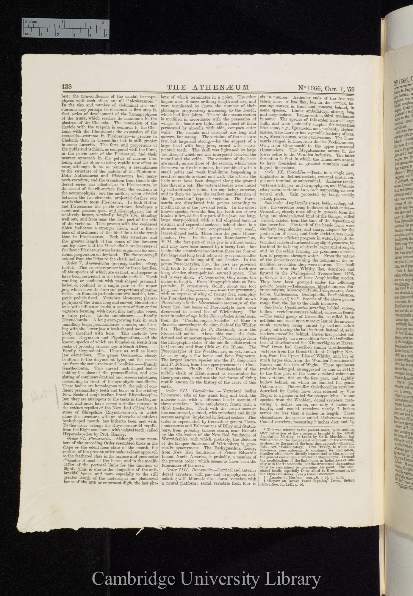 Owen, Richard. On the orders of fossil and recent Reptilia, and their distribution in time &#39;Athenaeum&#39;: 438