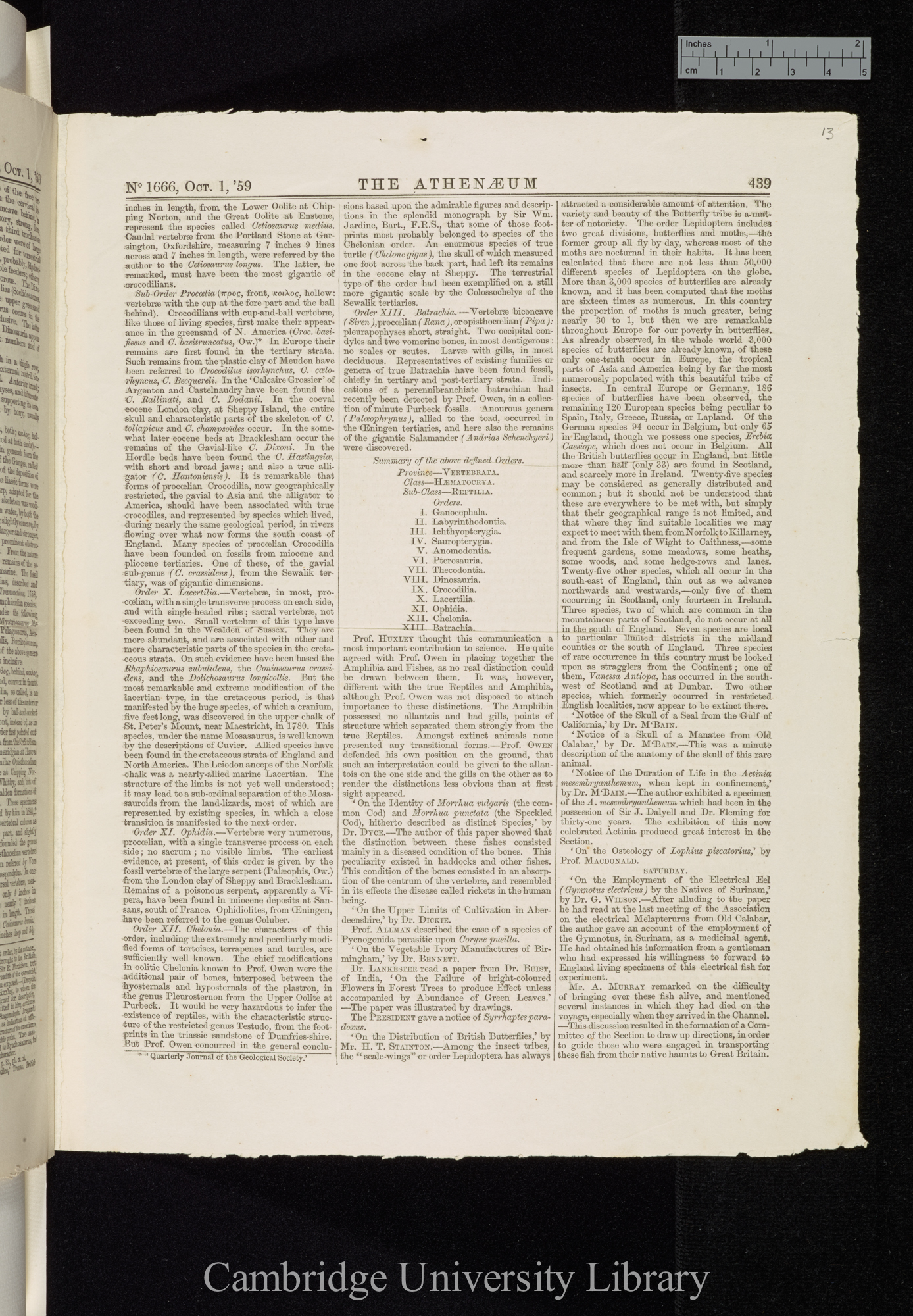 Owen, Richard. On the orders of fossil and recent Reptilia, and their distribution in time &#39;Athenaeum&#39;: 439