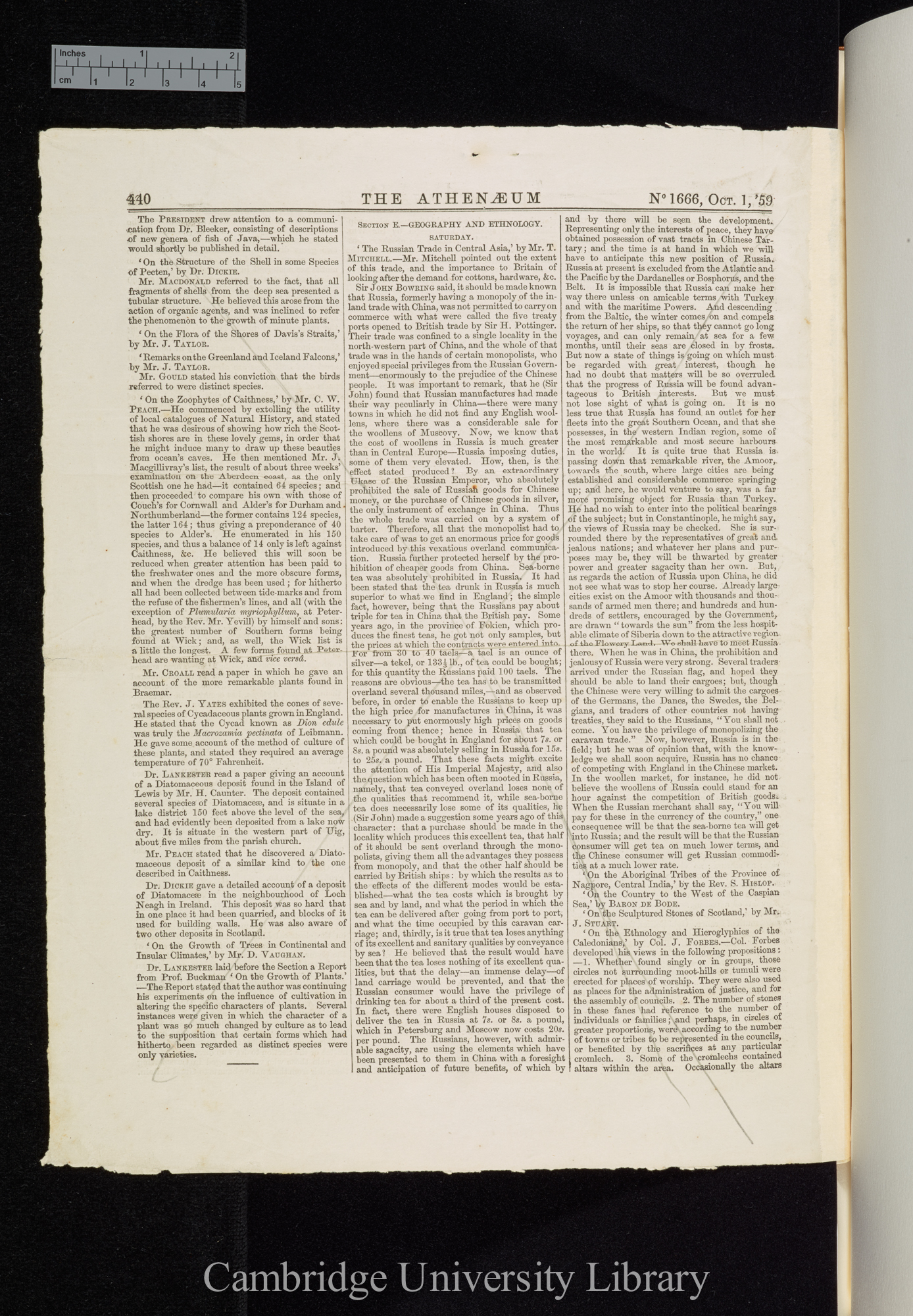 Owen, Richard. On the orders of fossil and recent Reptilia, and their distribution in time &#39;Athenaeum&#39;: 440