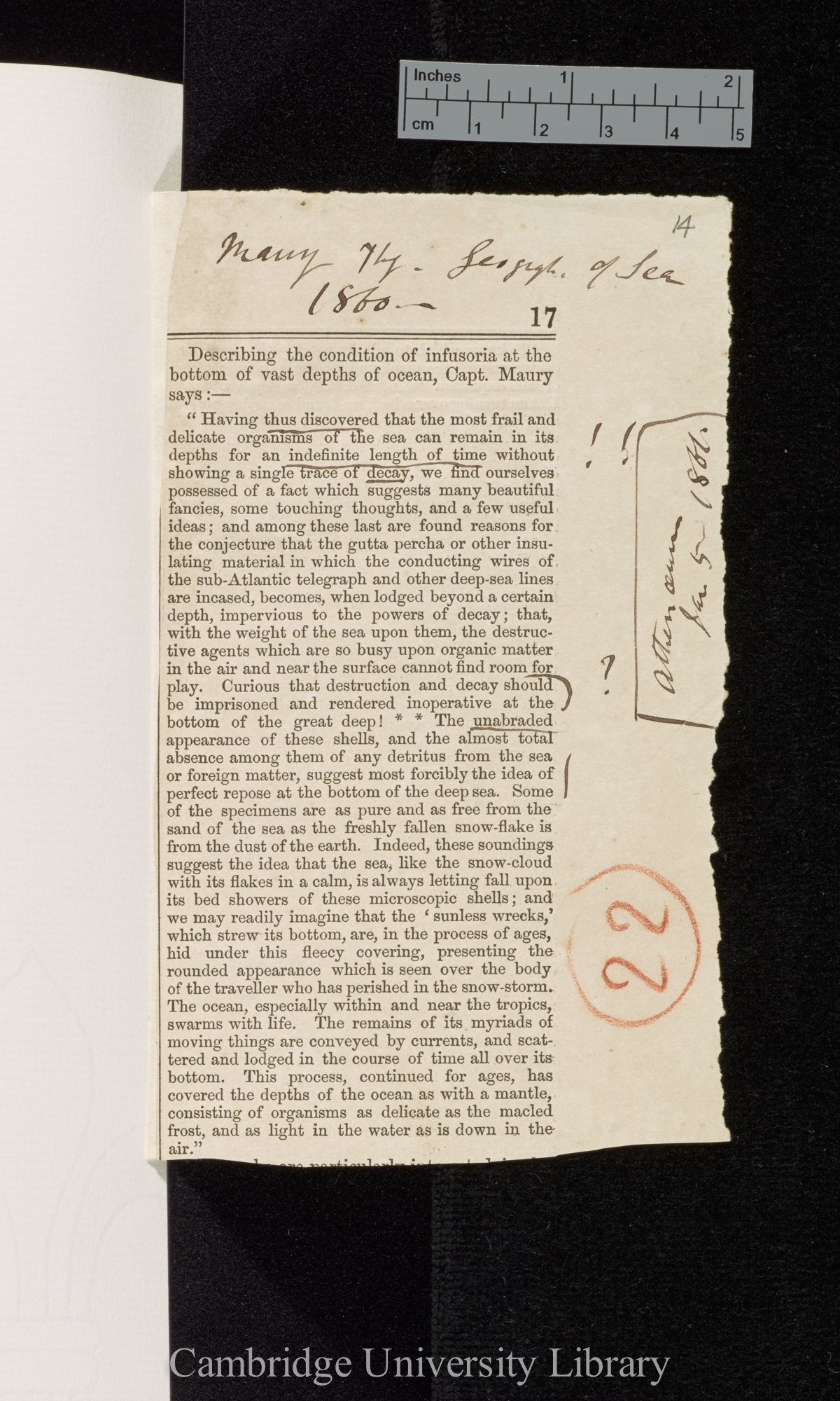 Review of Maury M F &#39;The physical geography of the sea, and its meteorology&#39; &#39;Athenaeum&#39;: 17 (lacks beginning)