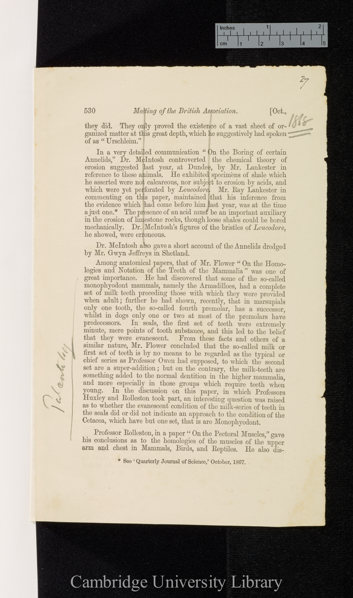 Flower, William Henry. On the homologies and notation of the teeth of the Mammalia &#39;Quarterly Journal of Science&#39; 5: 530