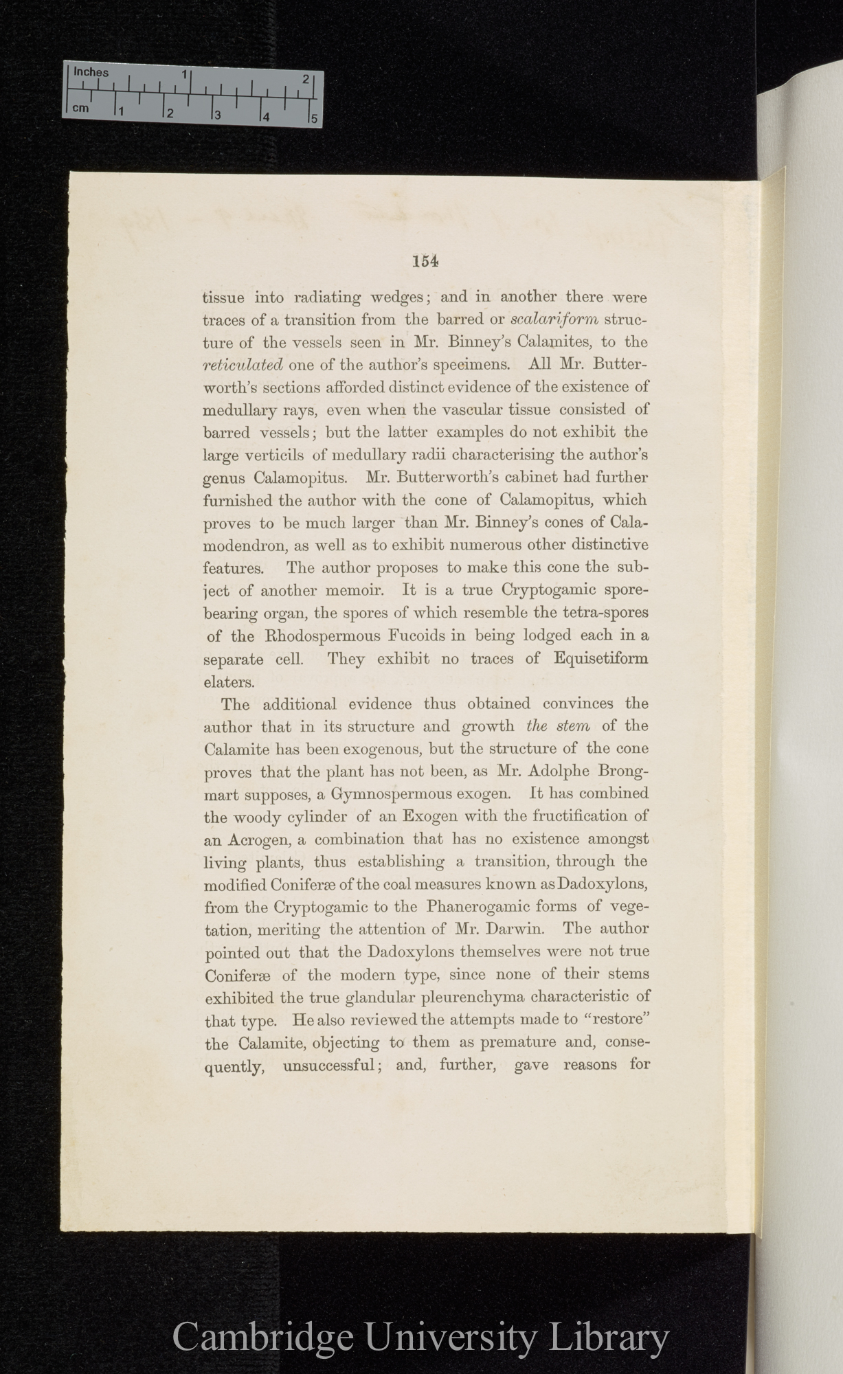 Williamson, William Crawford. Additional notes on the structure of Calamites &#39;(Manchester) Philosophical Society, Proceedings&#39; 8: 154