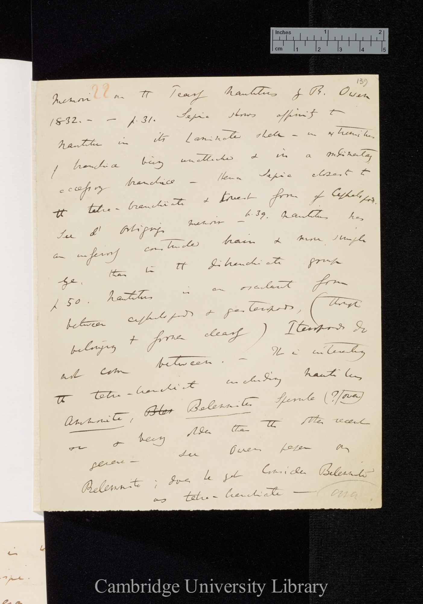 Owen R &#39;Memoir on pearly nautilus&#39; 1832: 31, 50; &#39;Belemnites&#39;: 82