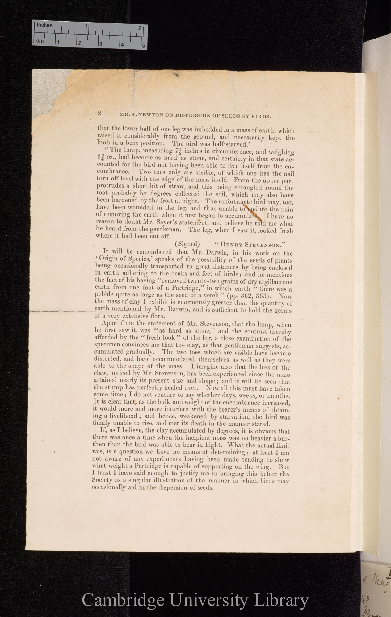 Newton, Alfred. On an illustration of the manner in which birds may occasionally aid in the dispersion of seeds &#39;Zoological Society, Proceedings&#39; 31: 2 [128]