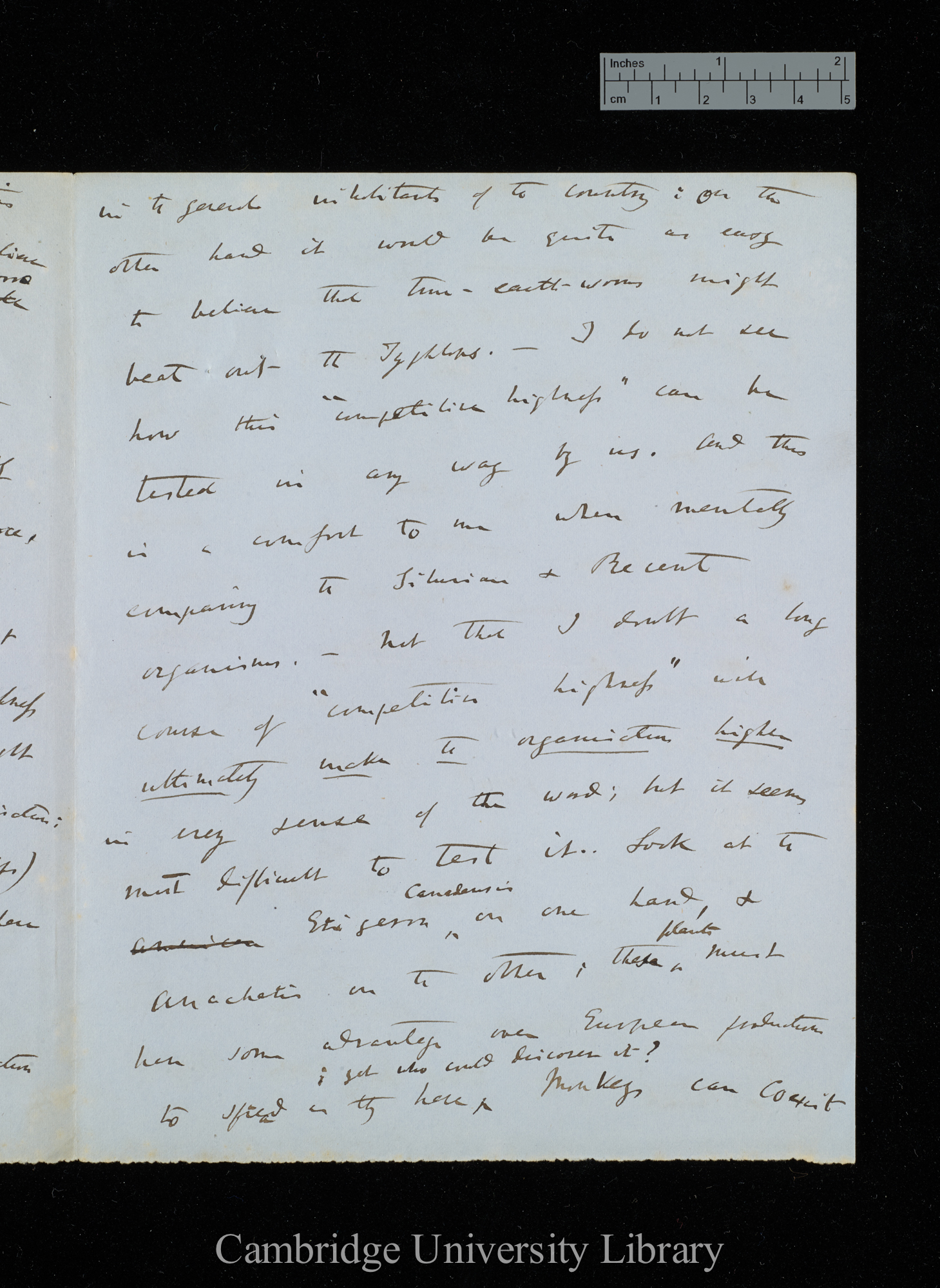 Charles Robert Darwin to Sir Joseph Dalton Hooker