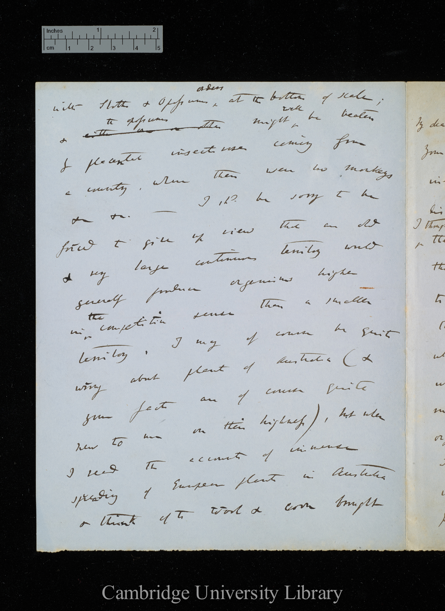 Charles Robert Darwin to Sir Joseph Dalton Hooker