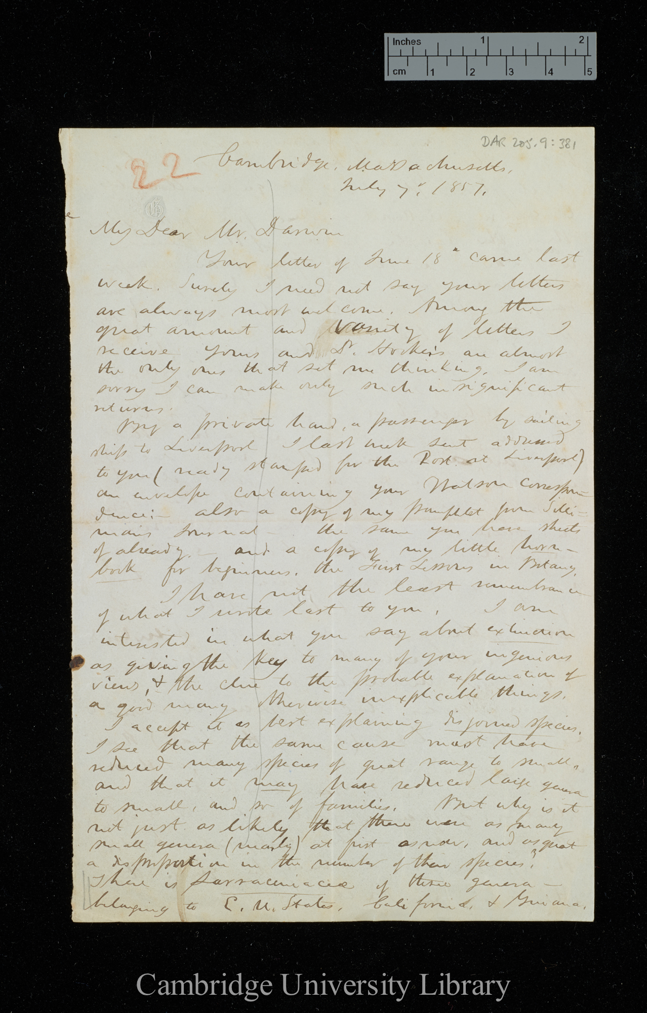 Asa Gray to Charles Robert Darwin